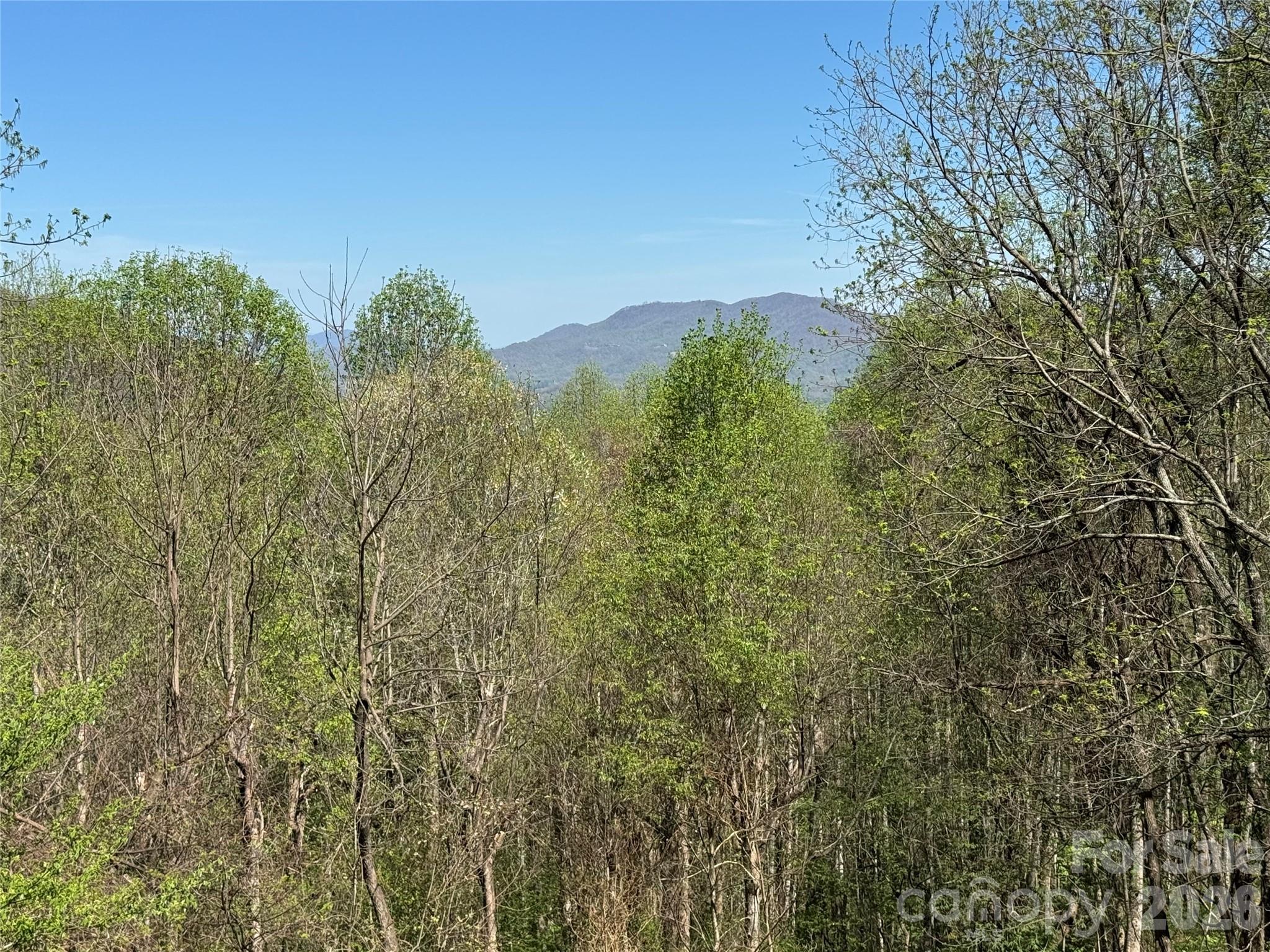 1618 Walnut Creek Road — Waynesville