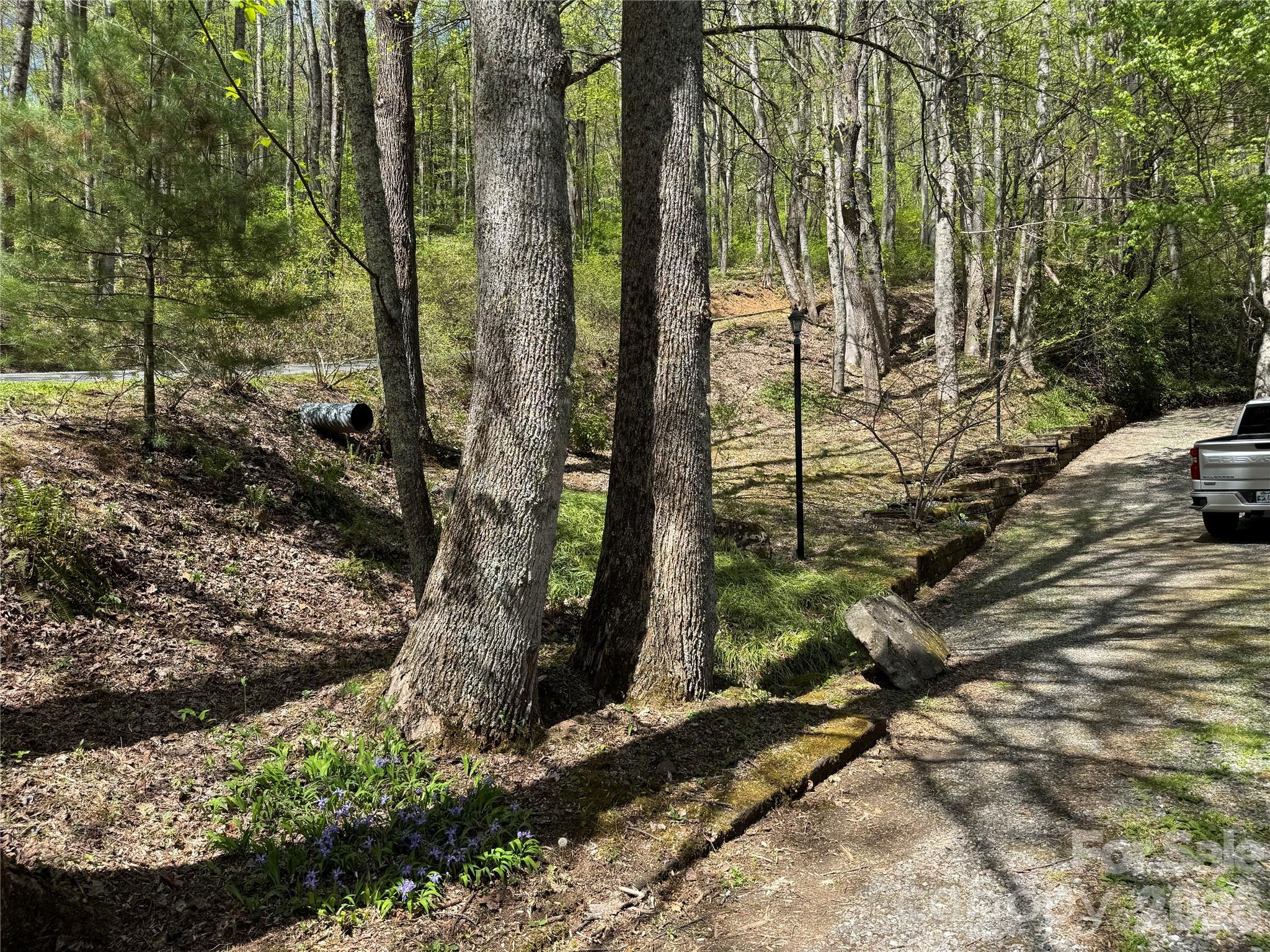 1618 Walnut Creek Road — Waynesville