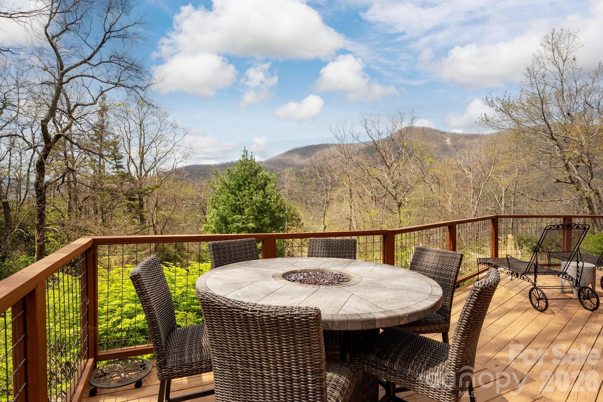 6 Orchard Knob Lane — Black Mountain