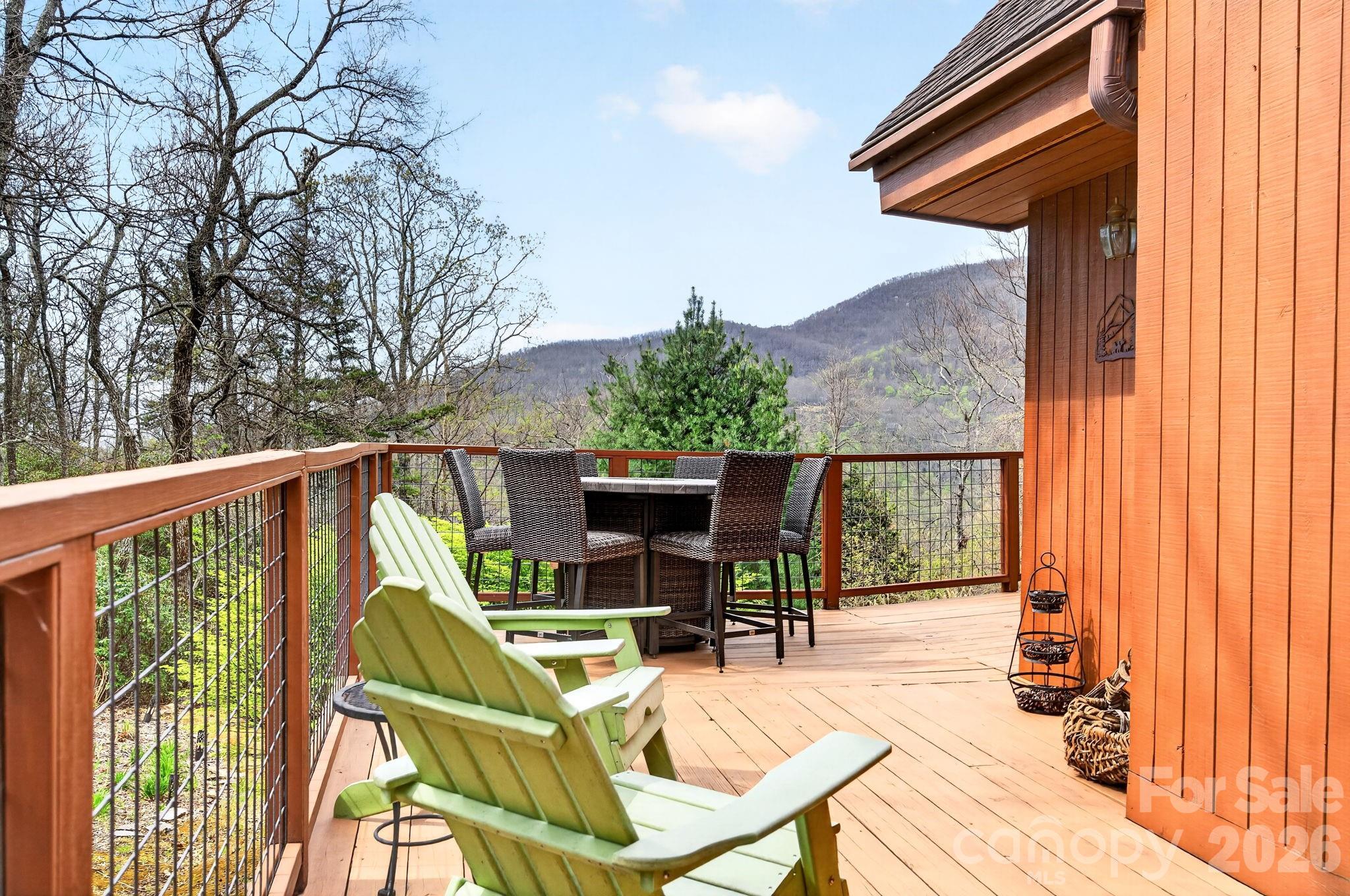 6 Orchard Knob Lane — Black Mountain