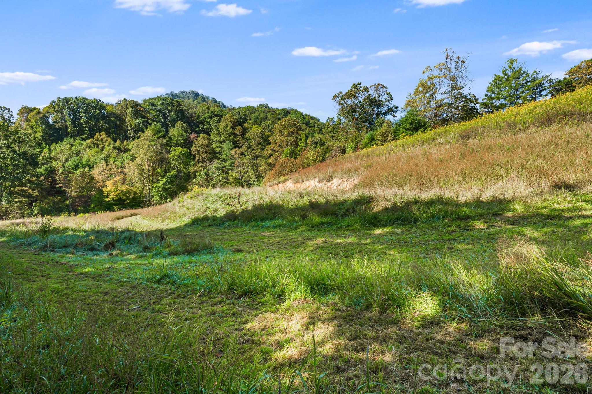 456 Maney Branch Road — Burnsville