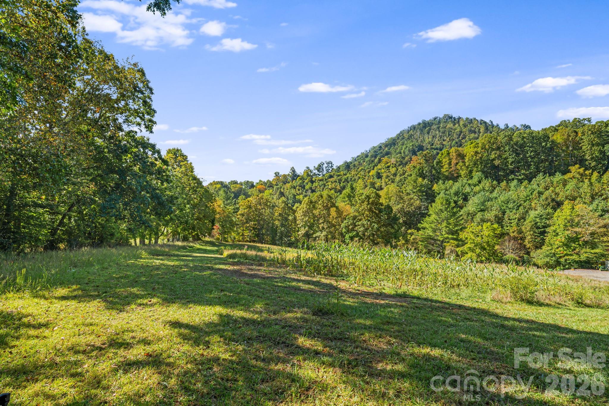 456 Maney Branch Road — Burnsville