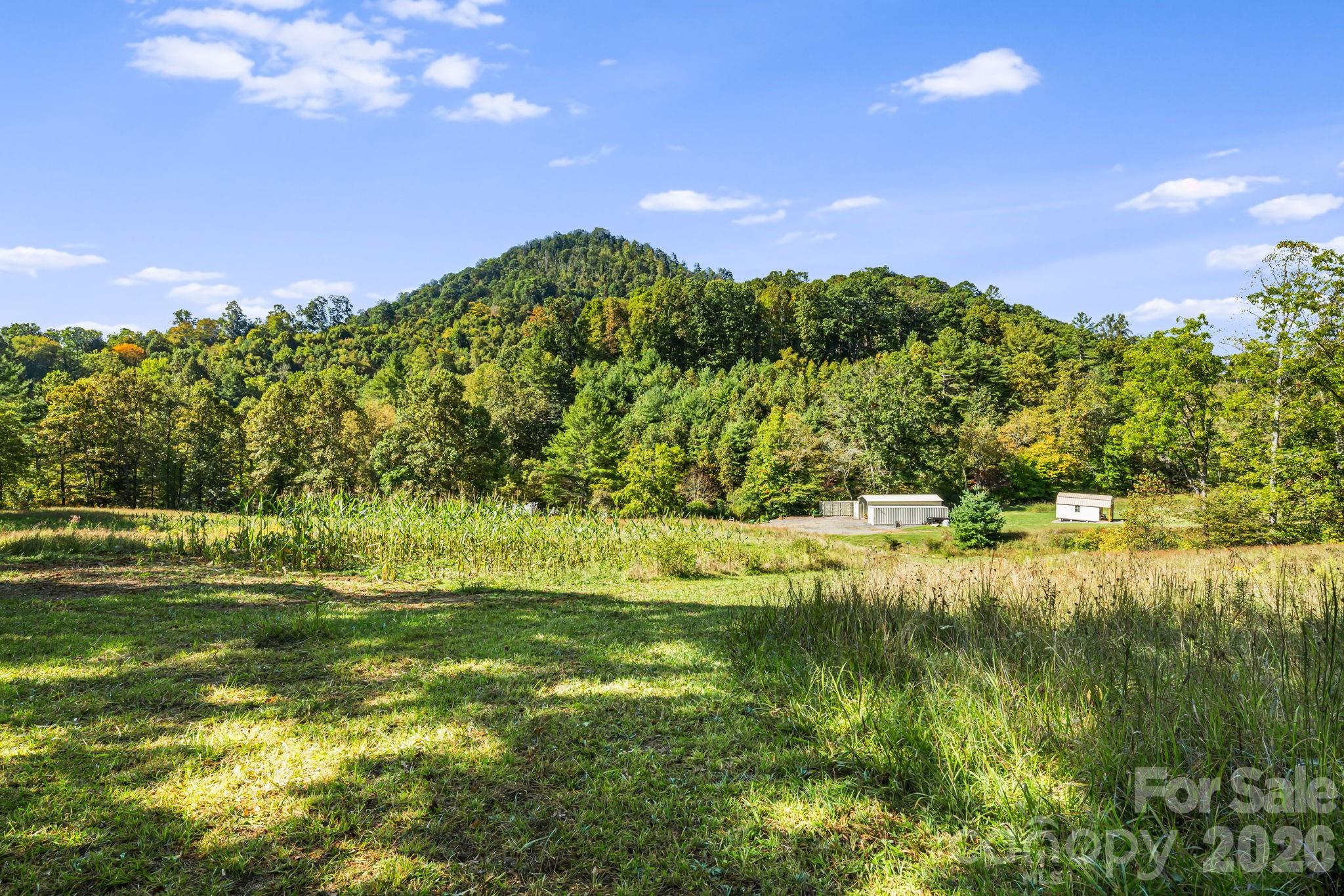 456 Maney Branch Road — Burnsville