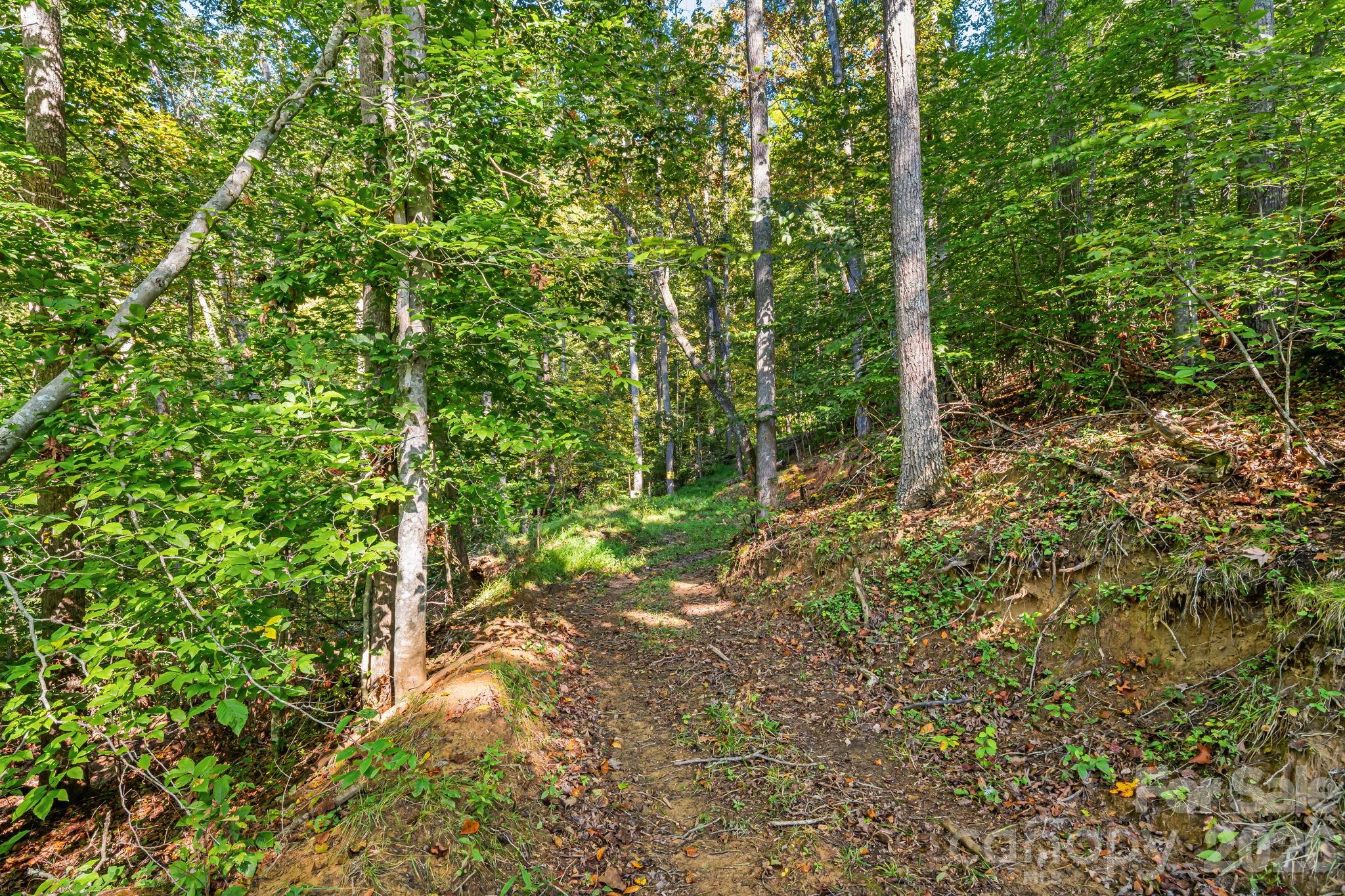 456 Maney Branch Road — Burnsville
