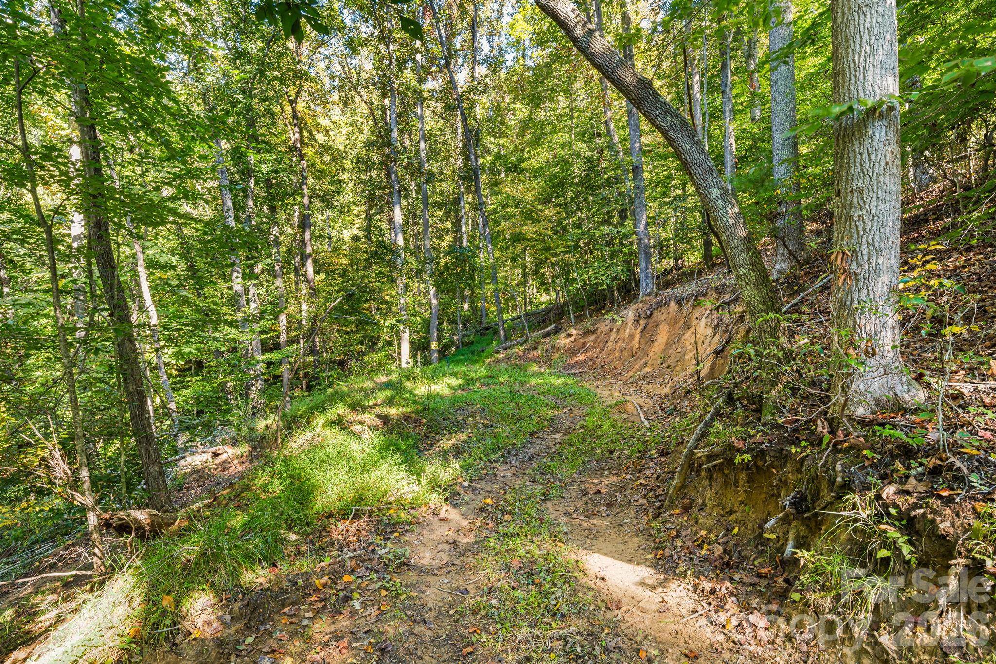 456 Maney Branch Road — Burnsville