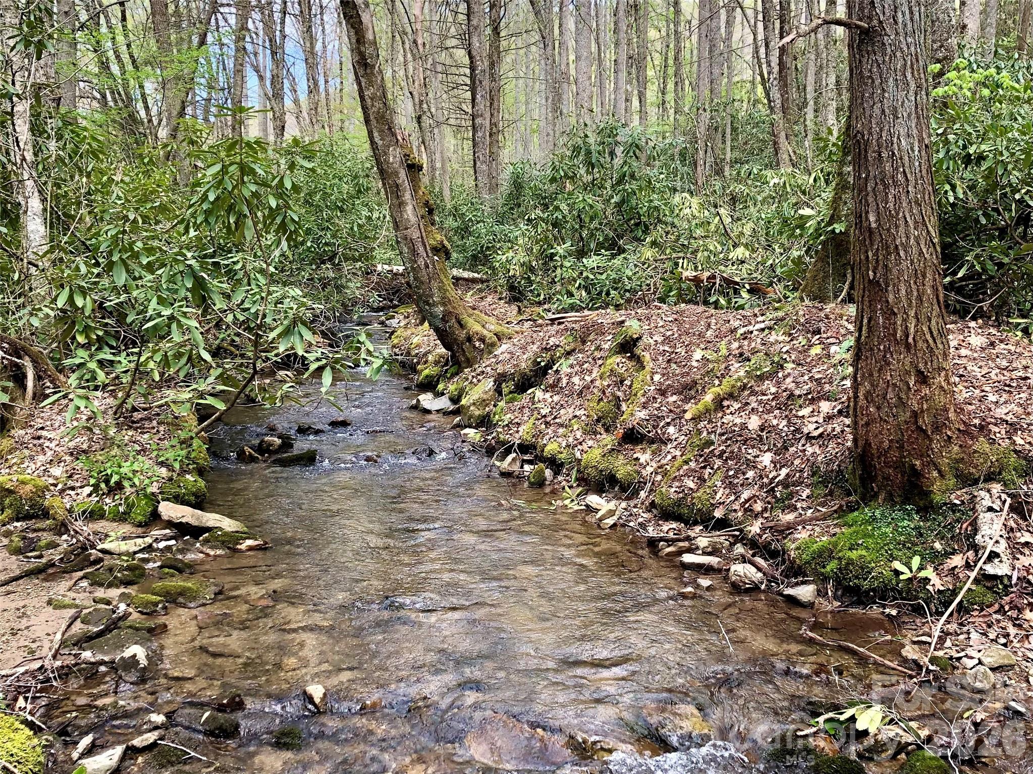 2811 Poplar Creek Road — Green Mountain