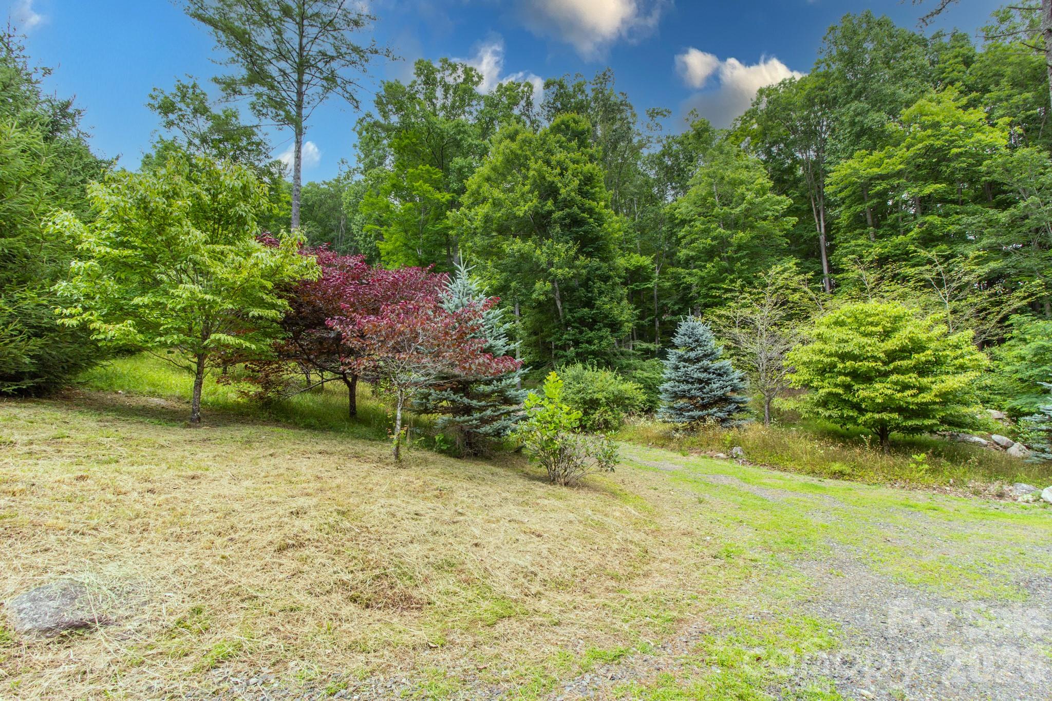 2811 Poplar Creek Road — Green Mountain