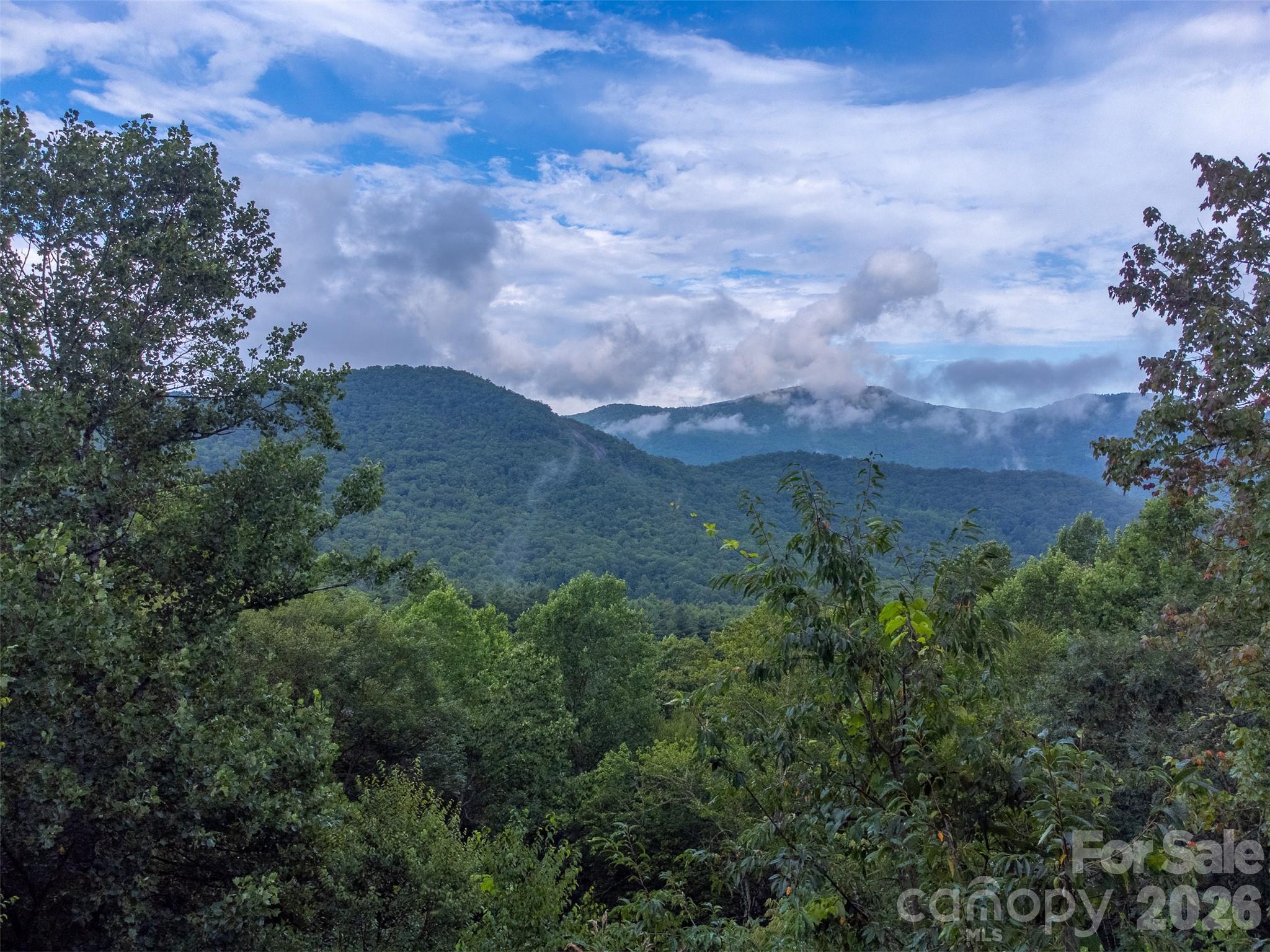1838 Coman Road — Franklin