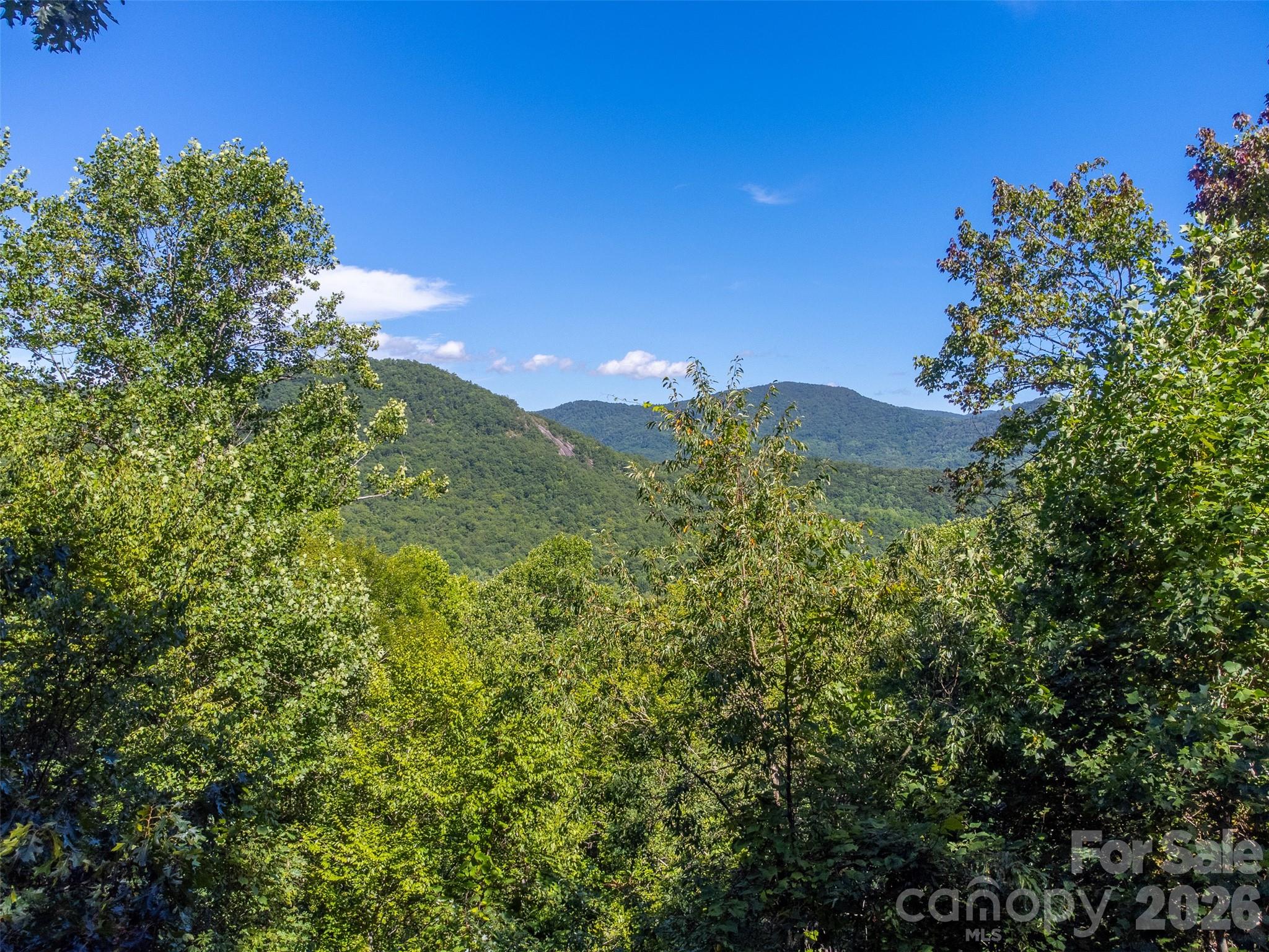 1838 Coman Road — Franklin
