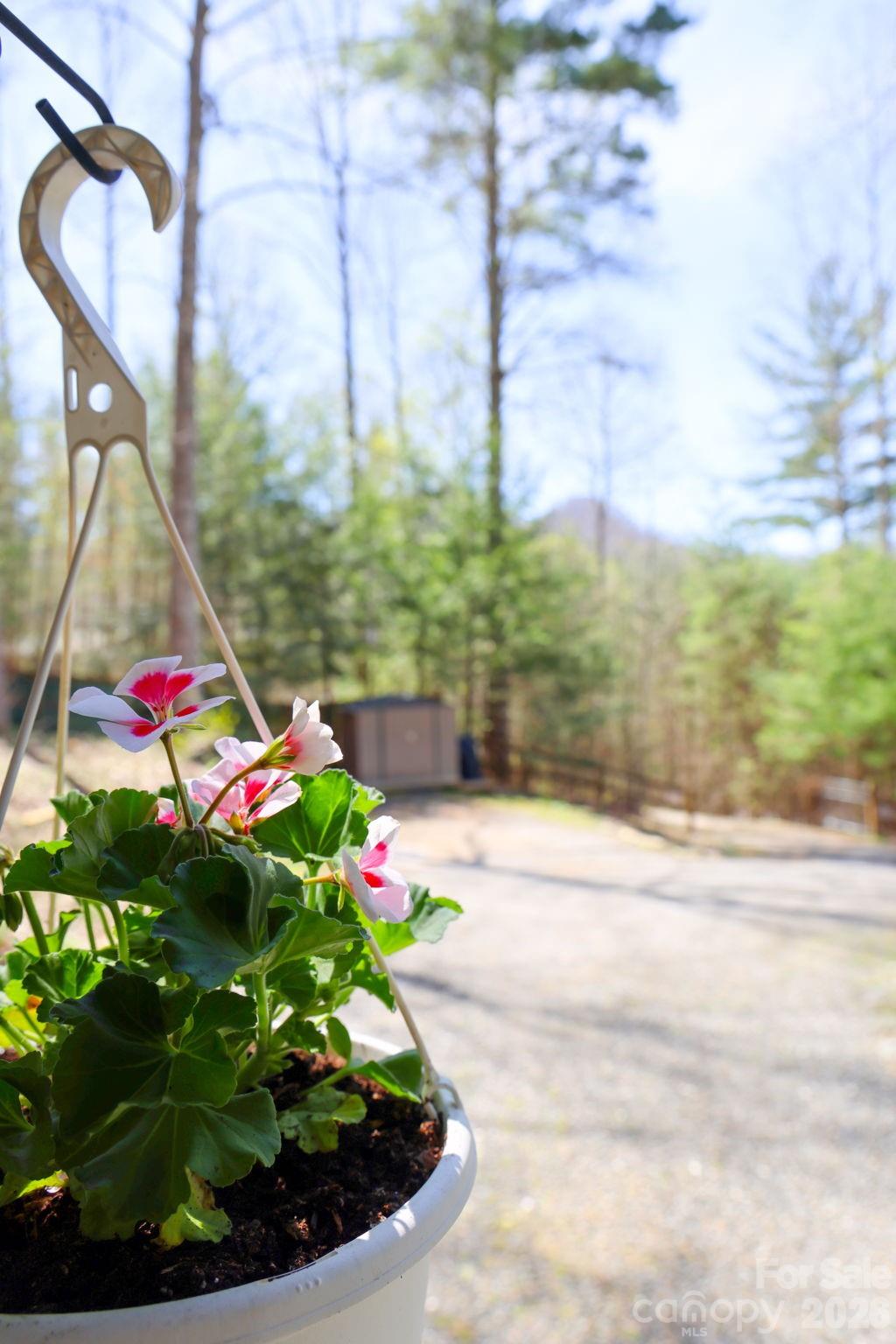 307 Dancing Leaf Lane — Bakersville