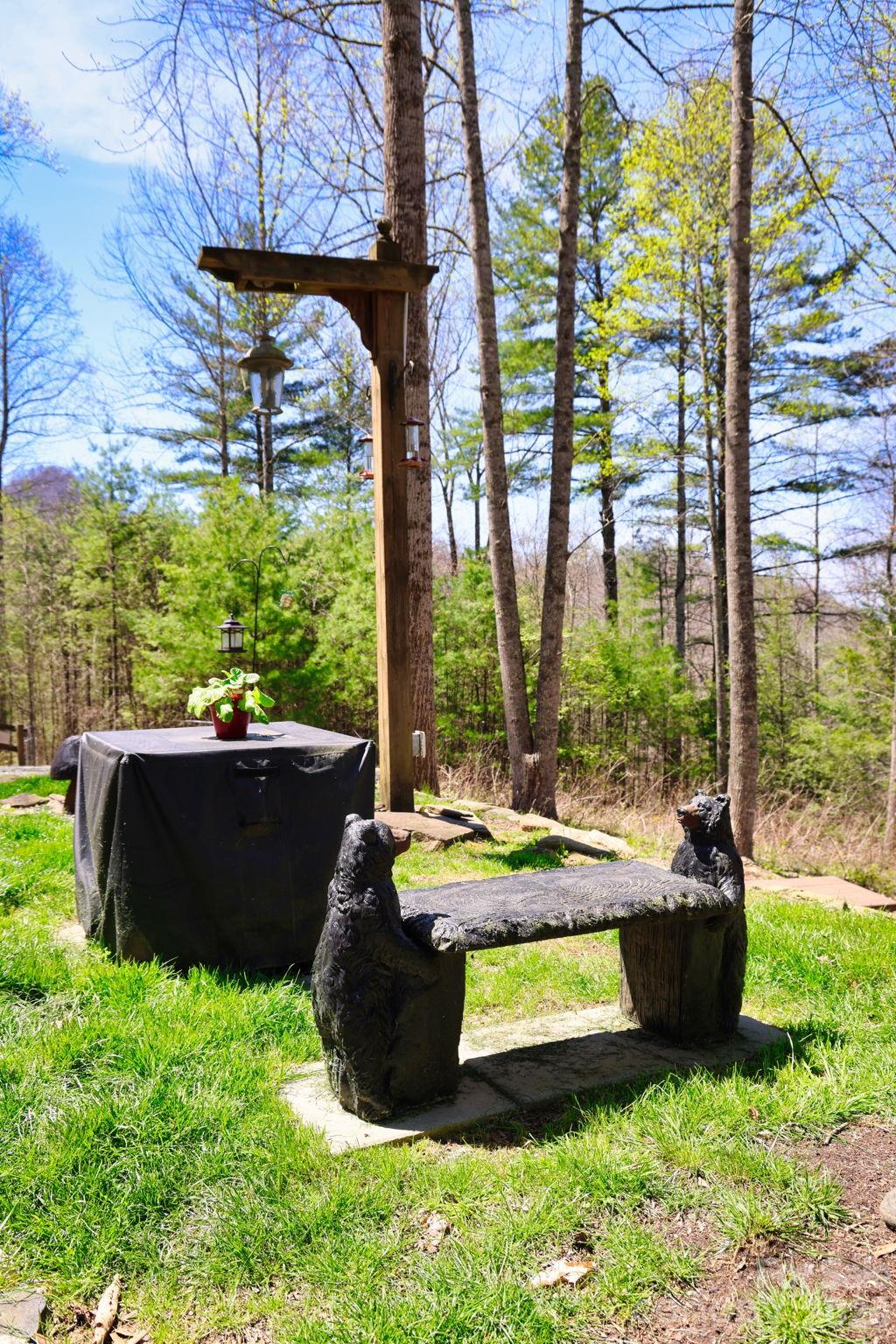 307 Dancing Leaf Lane — Bakersville