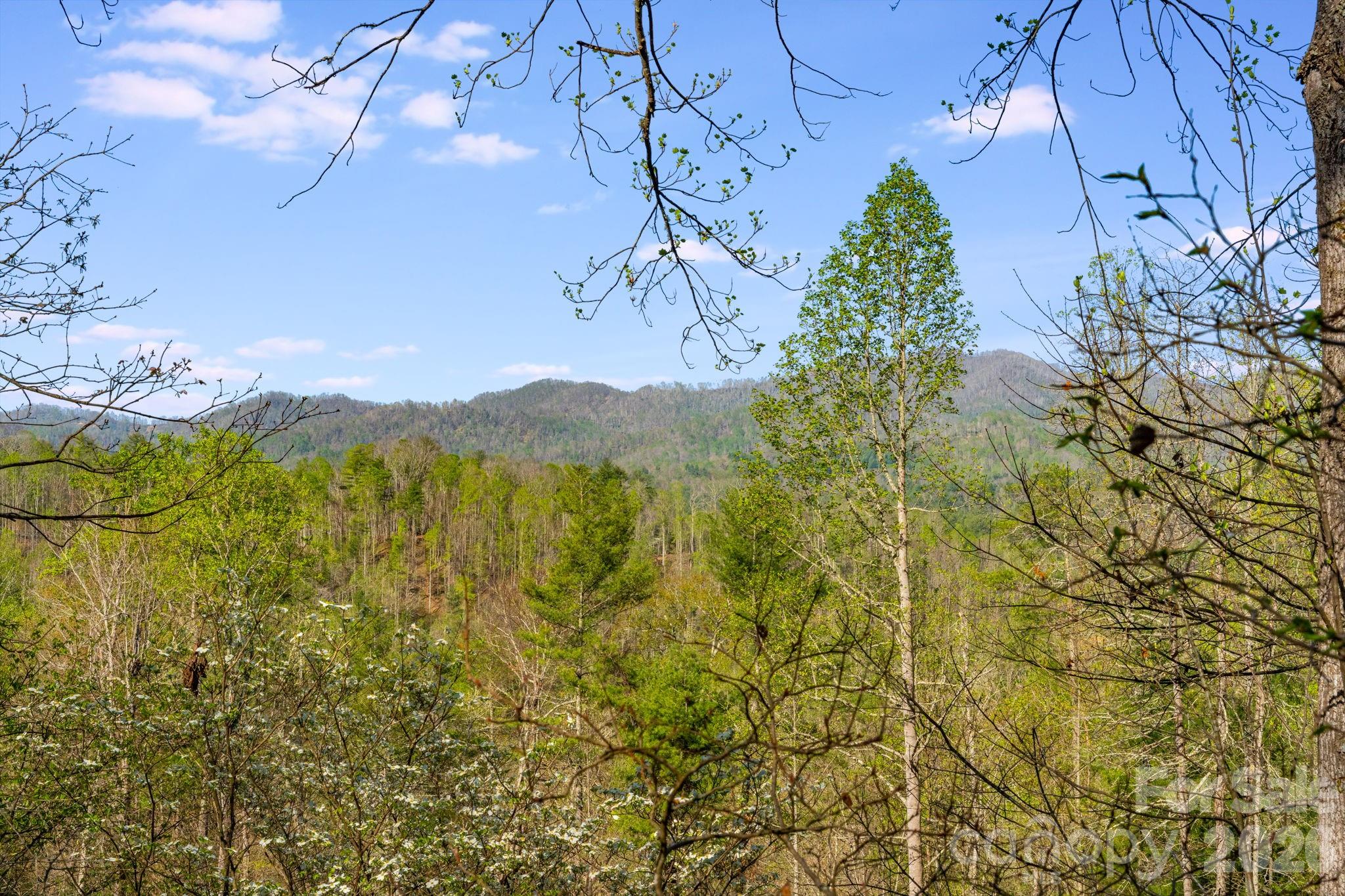 770 Echo Hill Drive — Green Mountain