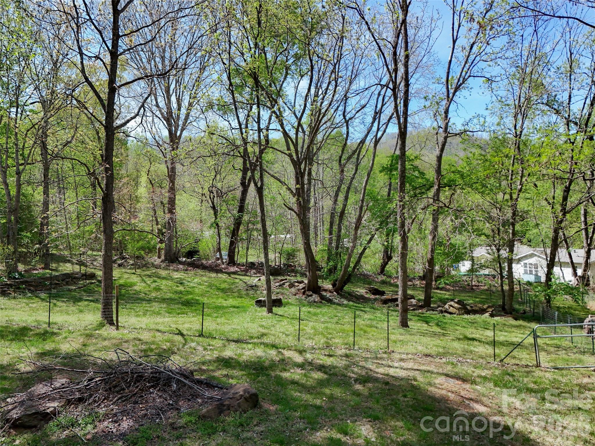 11 Rector Road — Weaverville