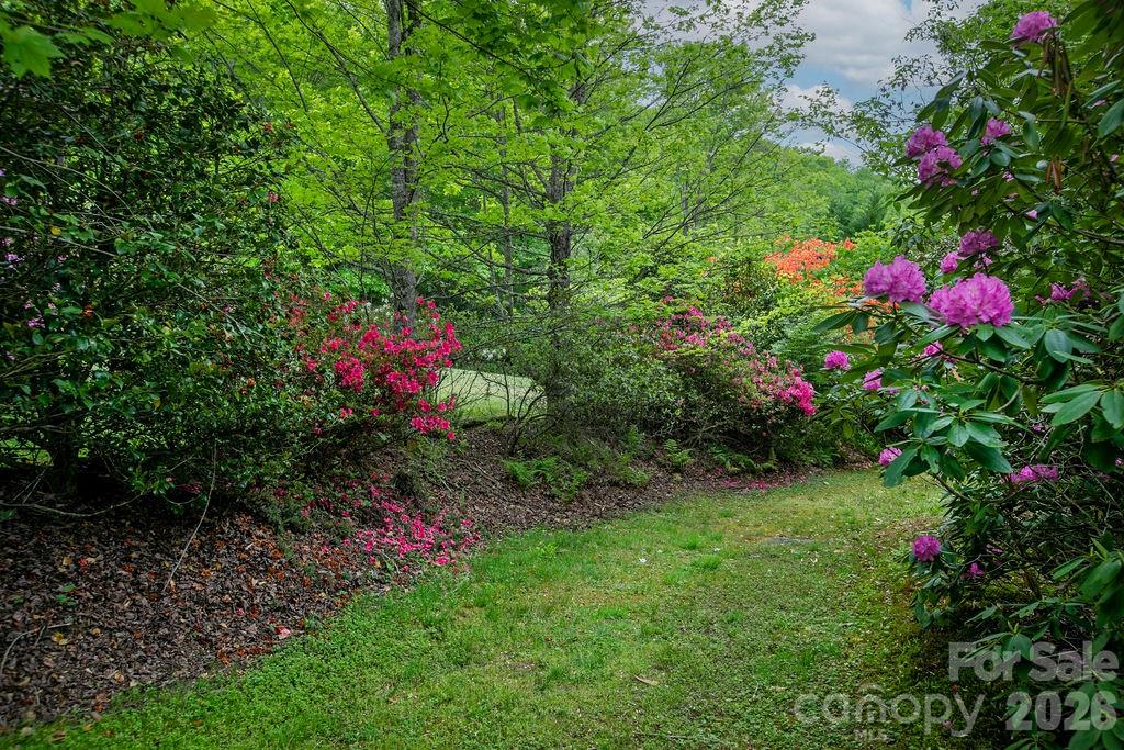 520 Blythe Road — Pisgah Forest