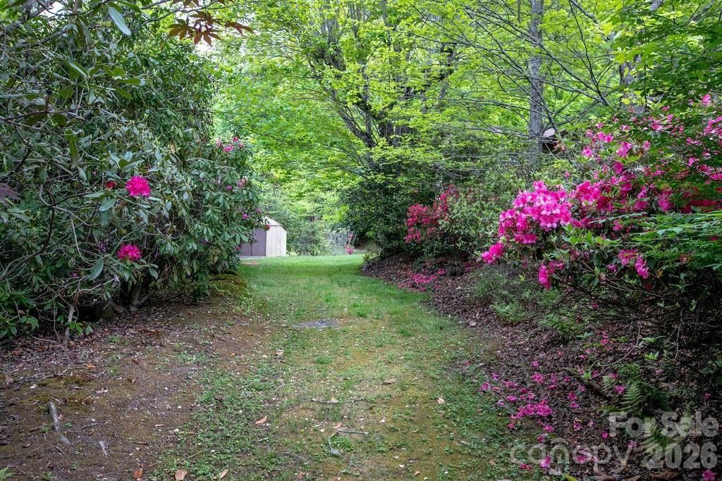 520 Blythe Road — Pisgah Forest