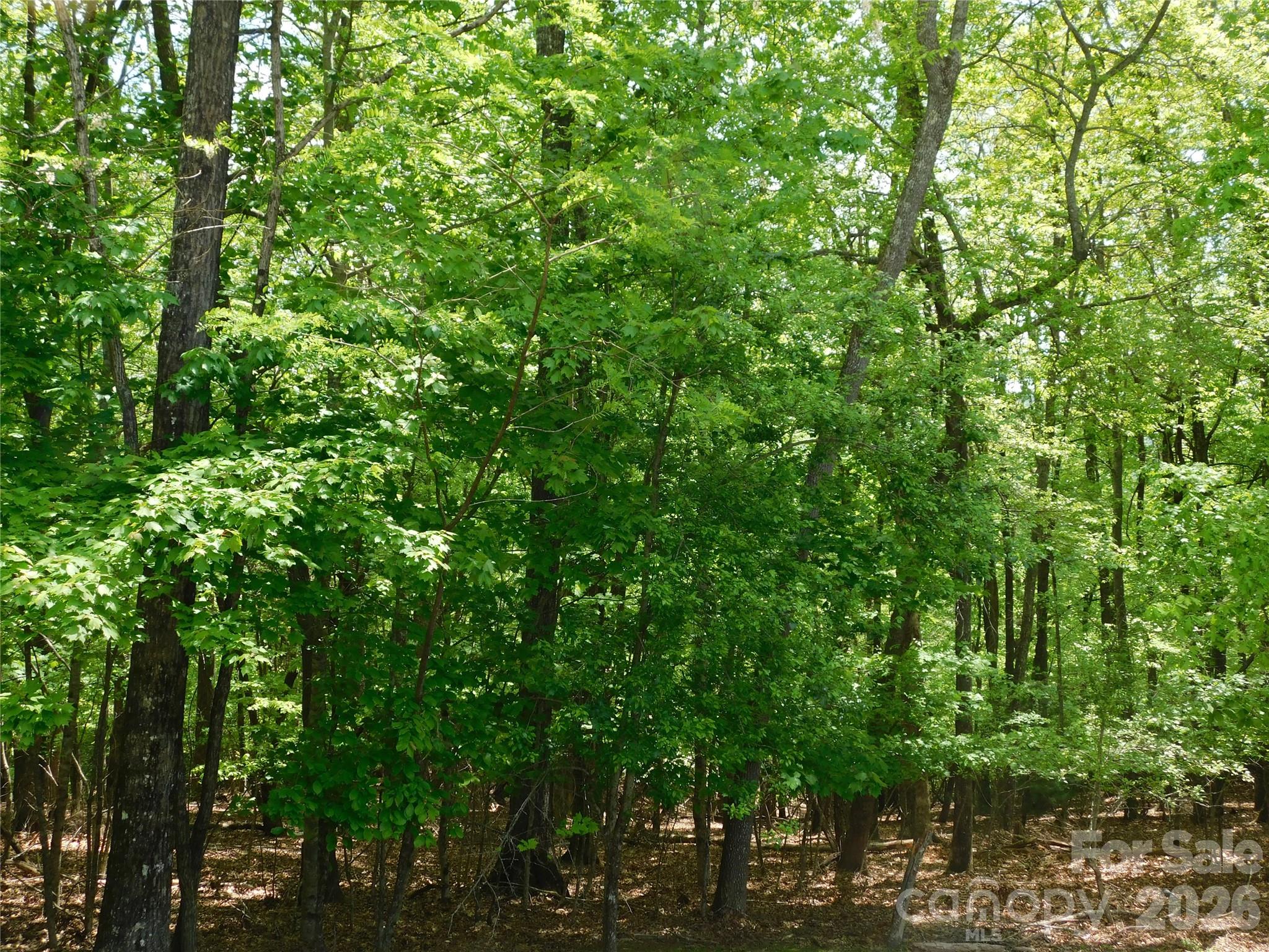 1064 Skye Drive — Pisgah Forest