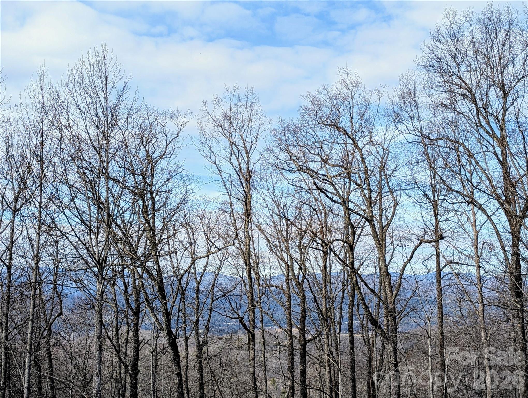 1064 Skye Drive — Pisgah Forest