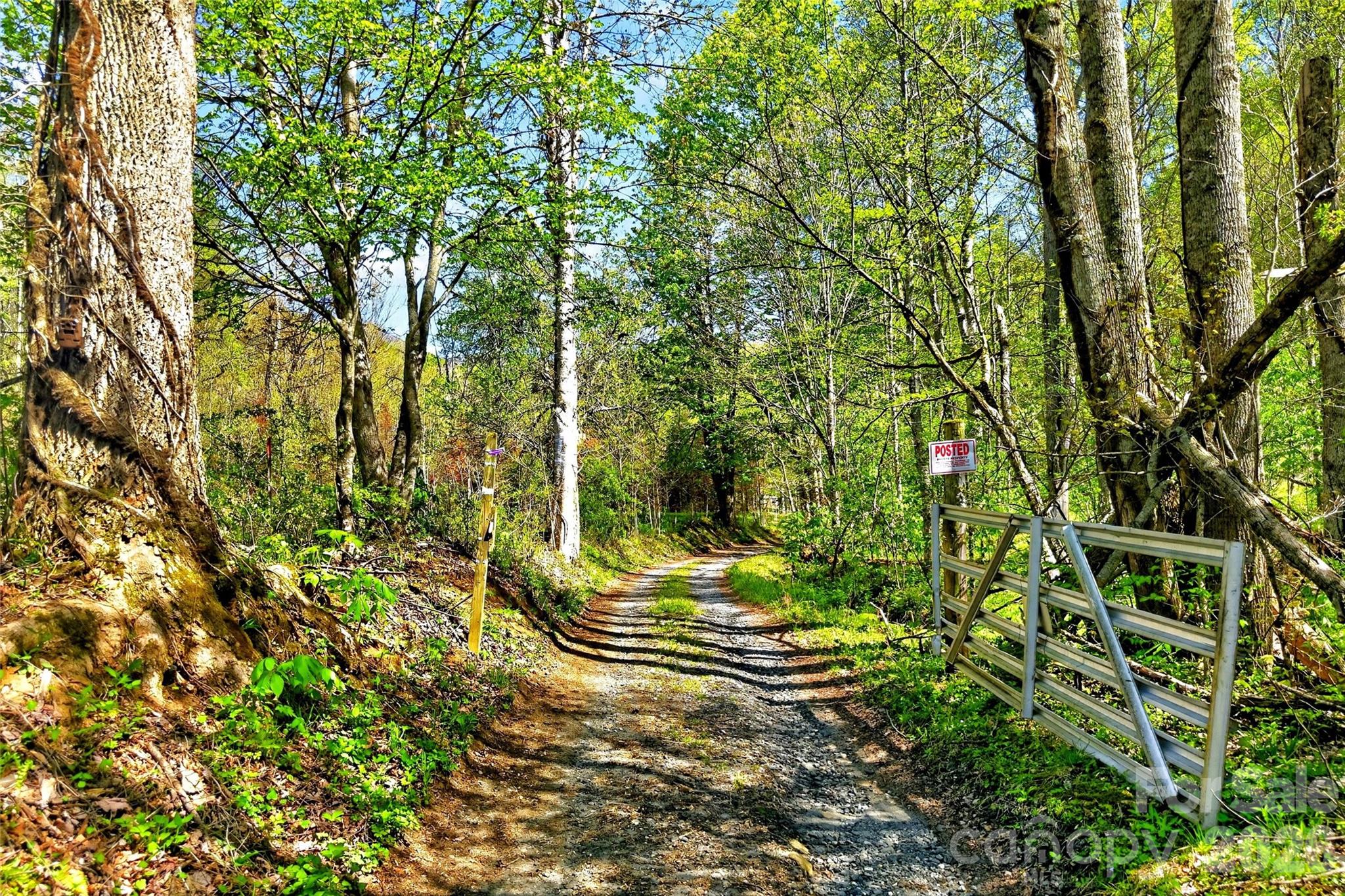 488 Cad Campbell Road — Bakersville