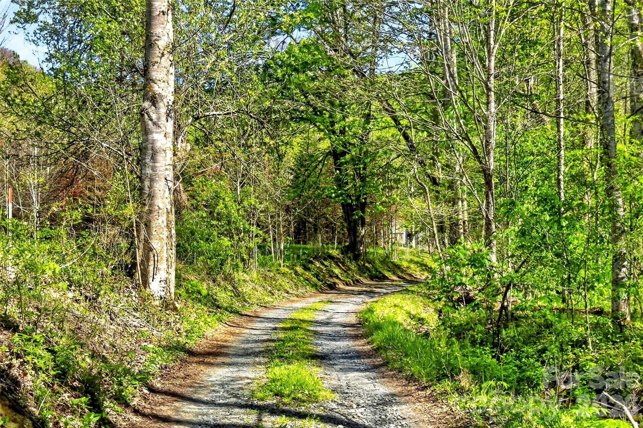488 Cad Campbell Road — Bakersville
