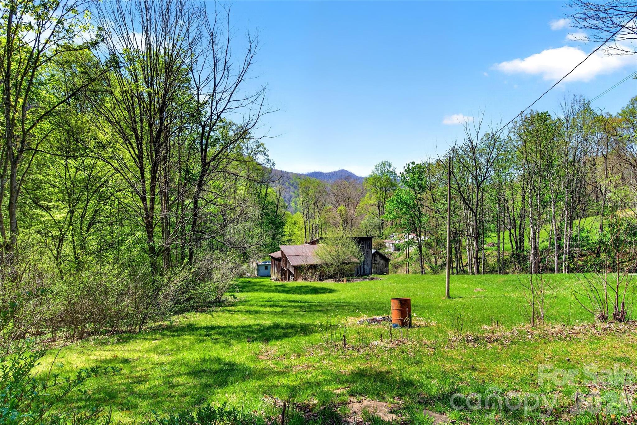 488 Cad Campbell Road — Bakersville