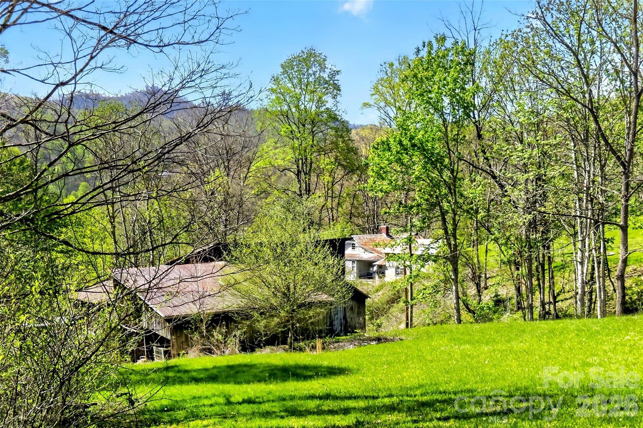 488 Cad Campbell Road — Bakersville