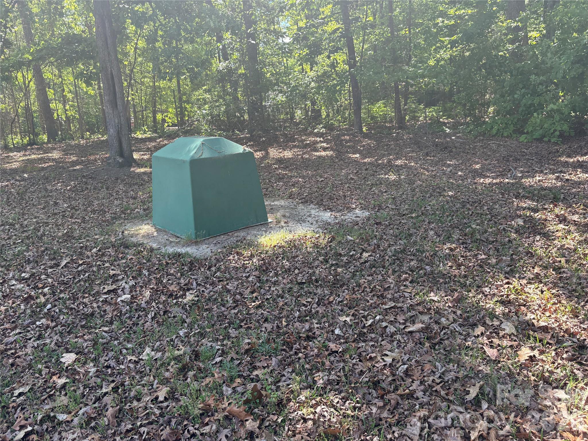 888 Old Mill Road — Richburg