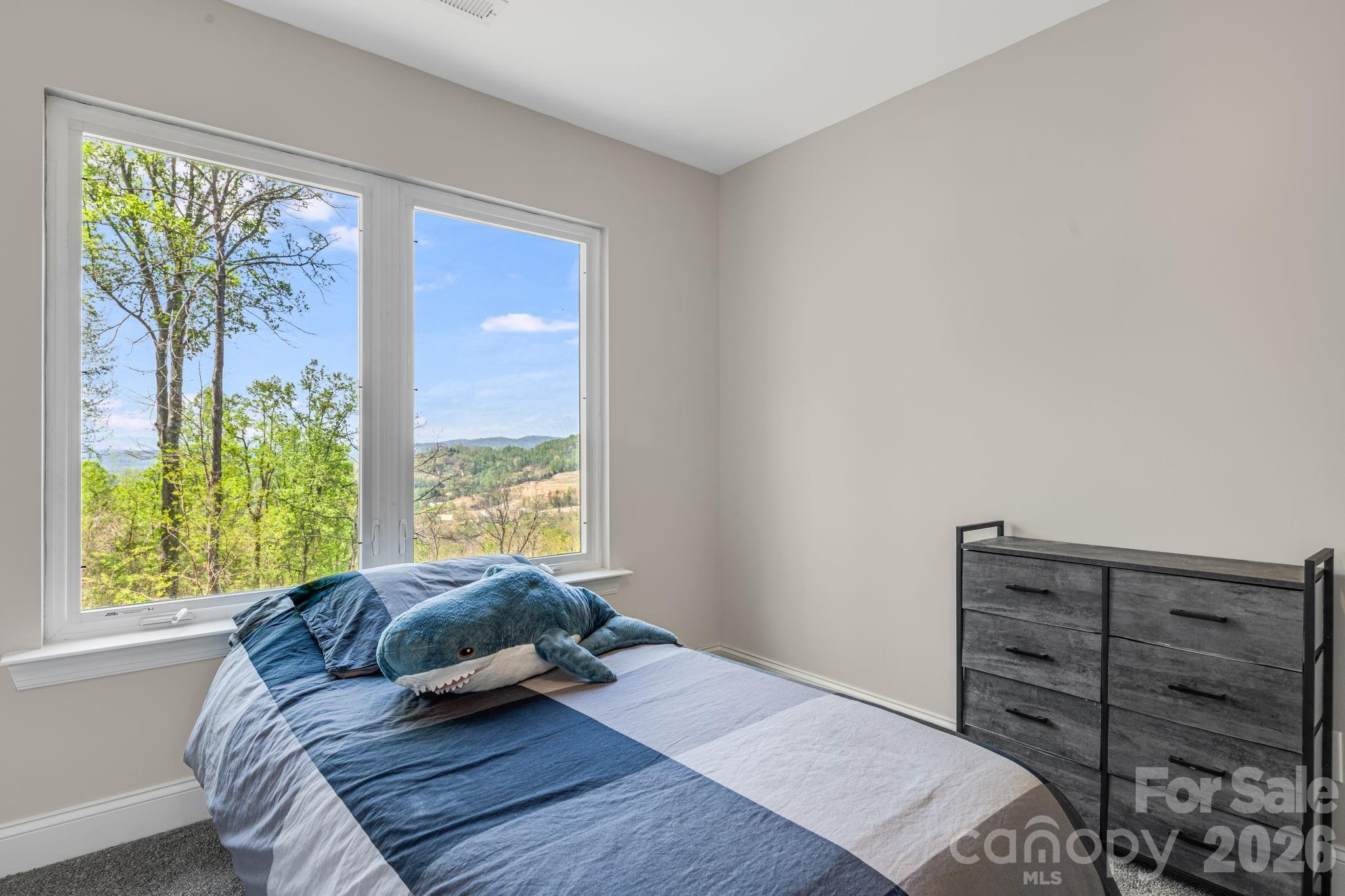 35 Chesten Mountain Drive — Asheville