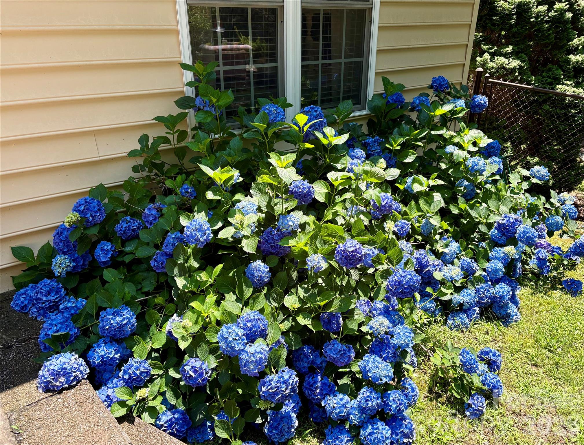 7940 Oakmont Court — Hickory