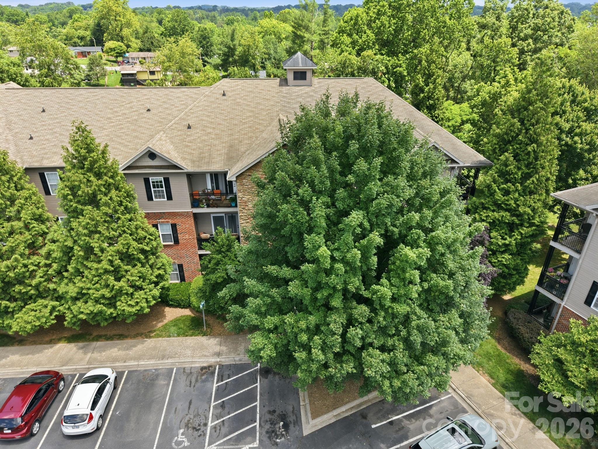 528 Appeldoorn Circle — Asheville