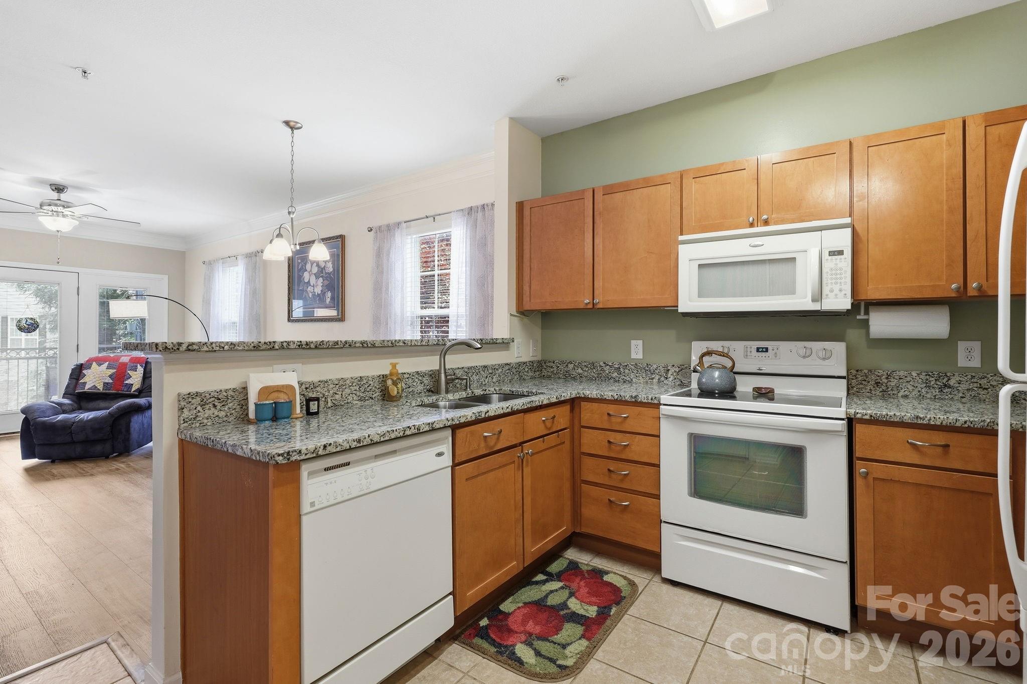 528 Appeldoorn Circle — Asheville