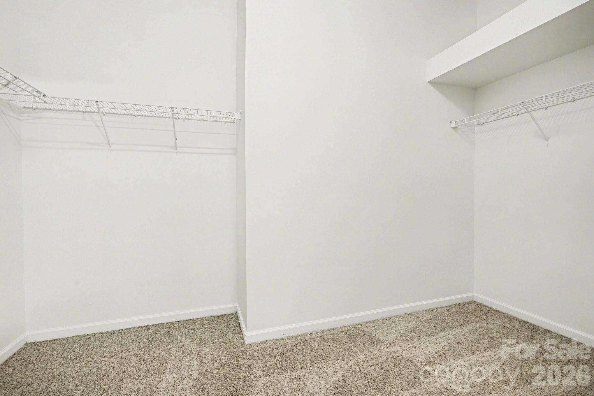 6005 Pale Moss Lane — Charlotte
