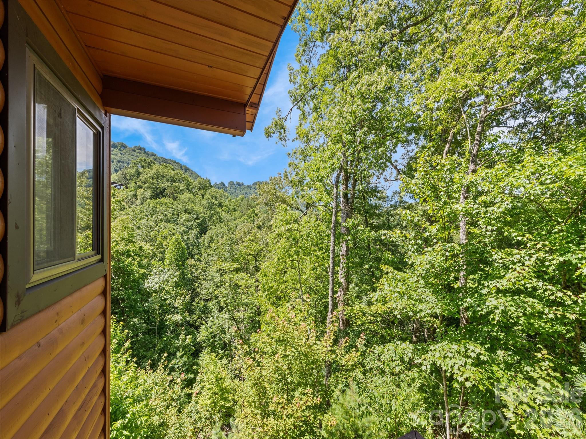 299 Blue Ridge Parkway — Bryson City