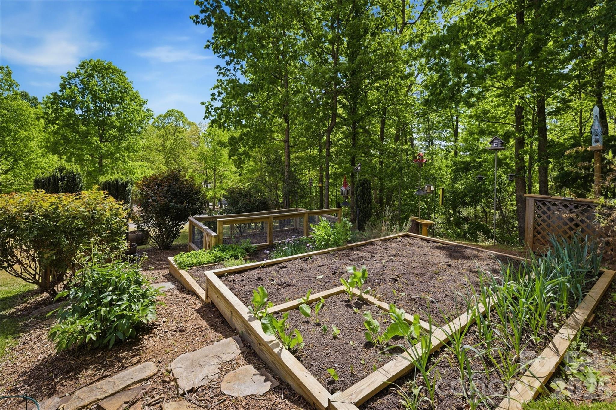 4790 Ponderosa Road — Morganton