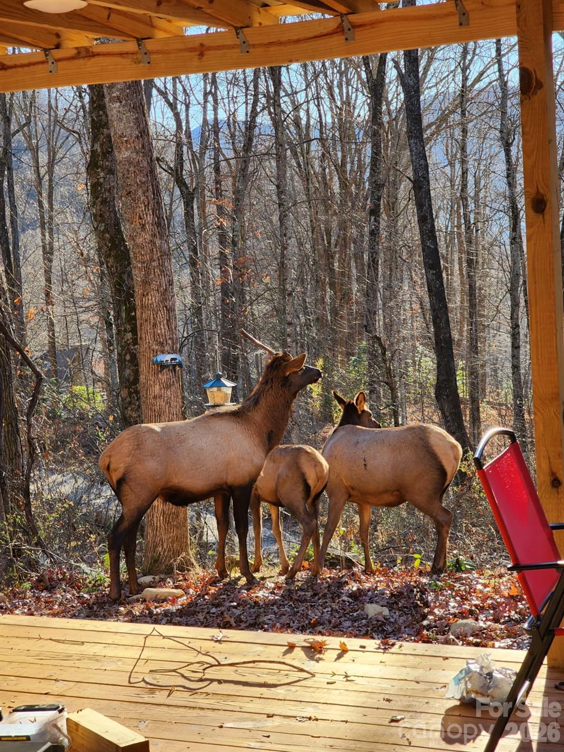 16 Standing Rock Ridge — Maggie Valley