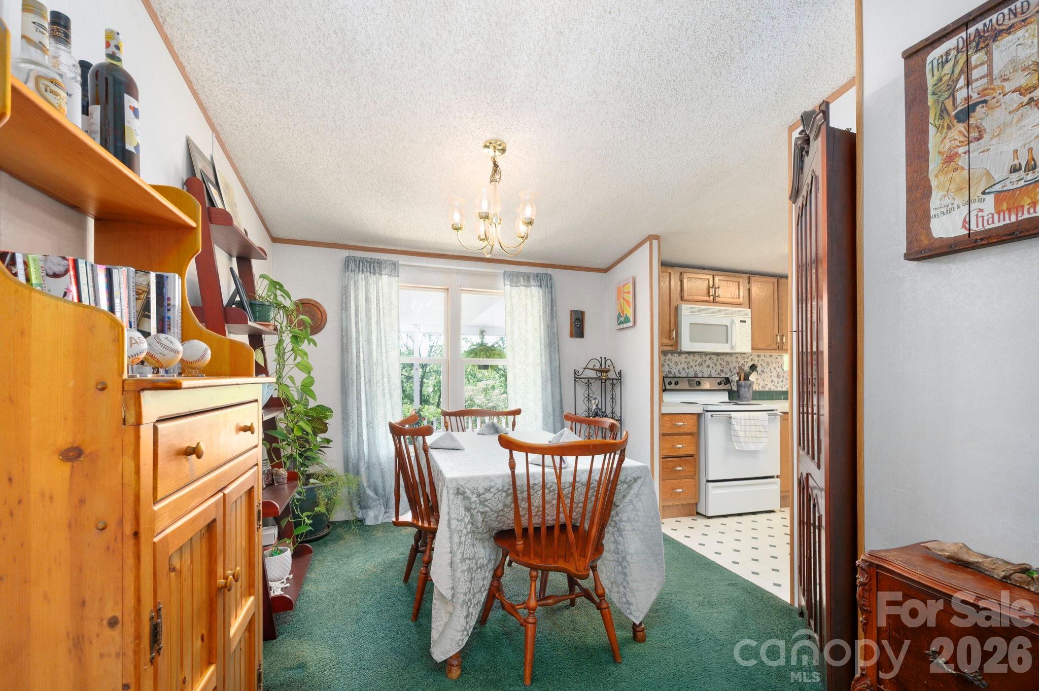66 Green Oak Road — Asheville