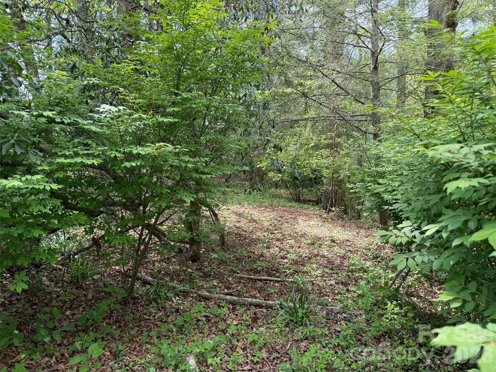 207 Ewbank Road — Etowah