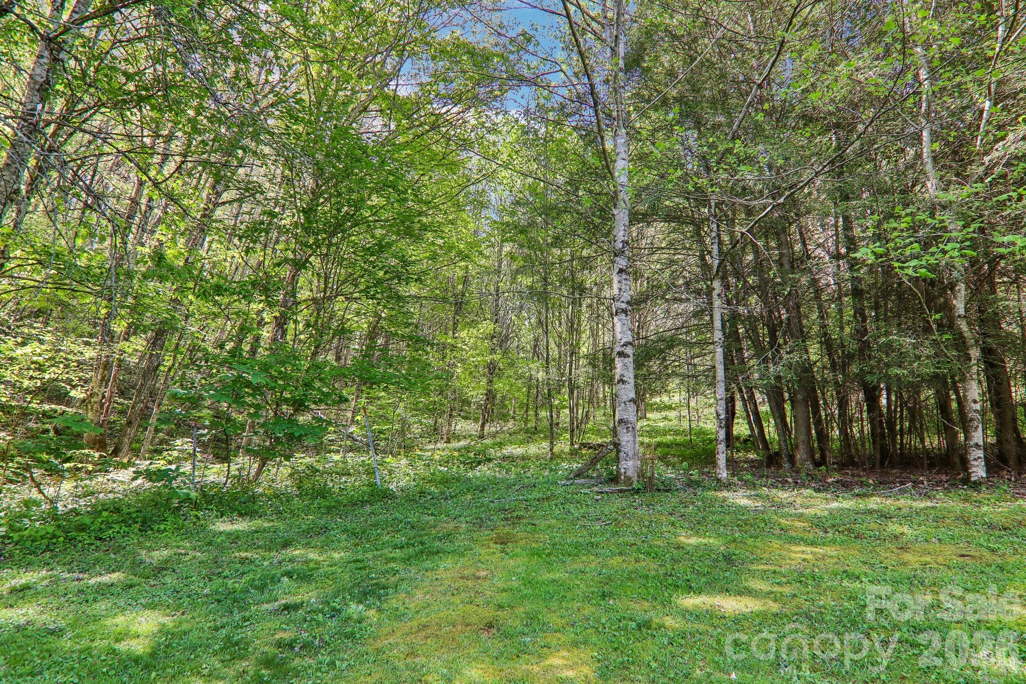 129 Cash Phillips Drive — Mars Hill