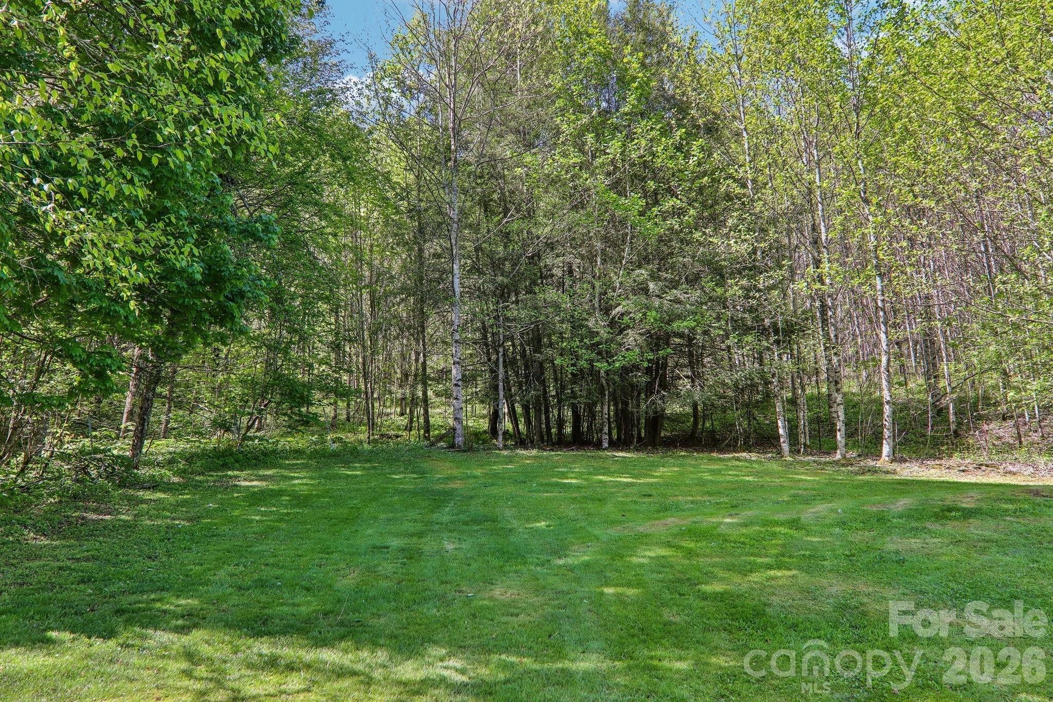 129 Cash Phillips Drive — Mars Hill