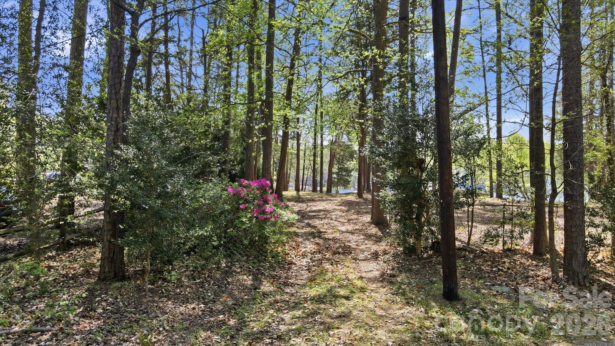 15609 Chatfield Drive — Charlotte