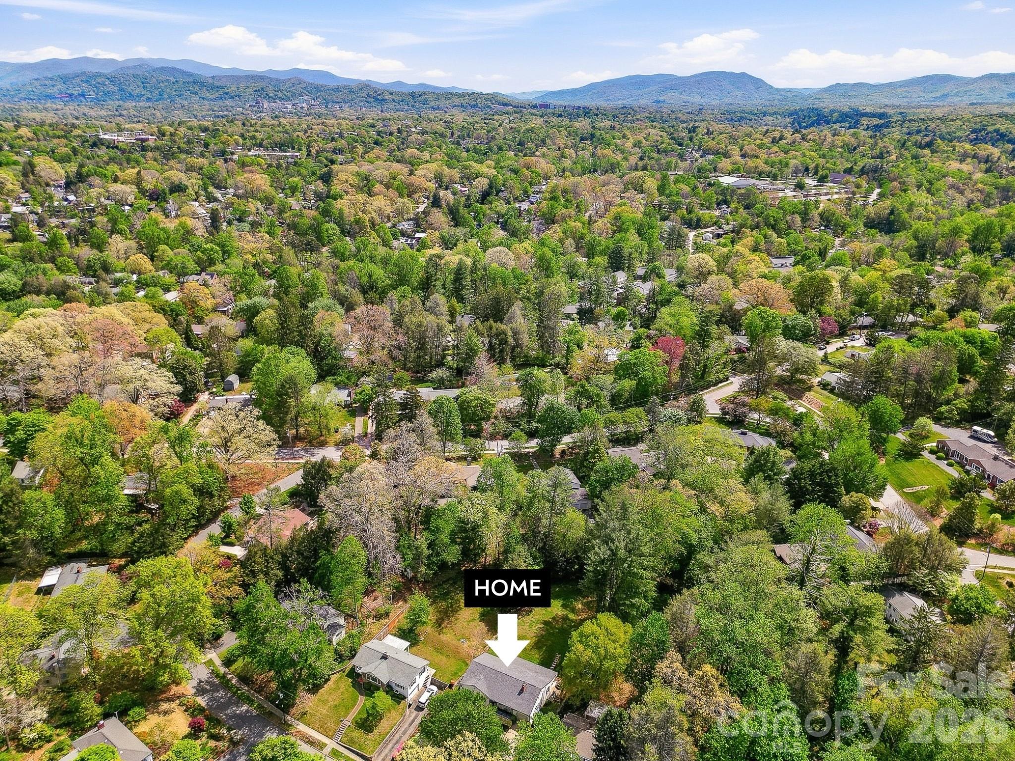 41 Arthur Road — Asheville