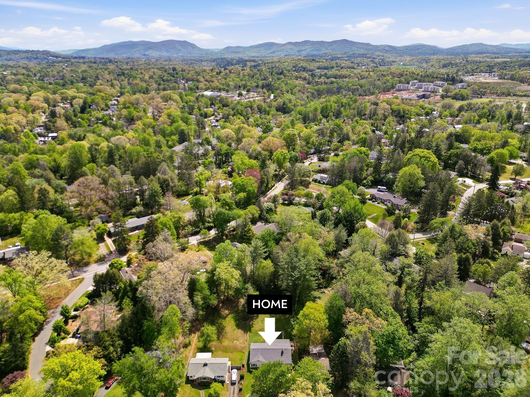 41 Arthur Road — Asheville