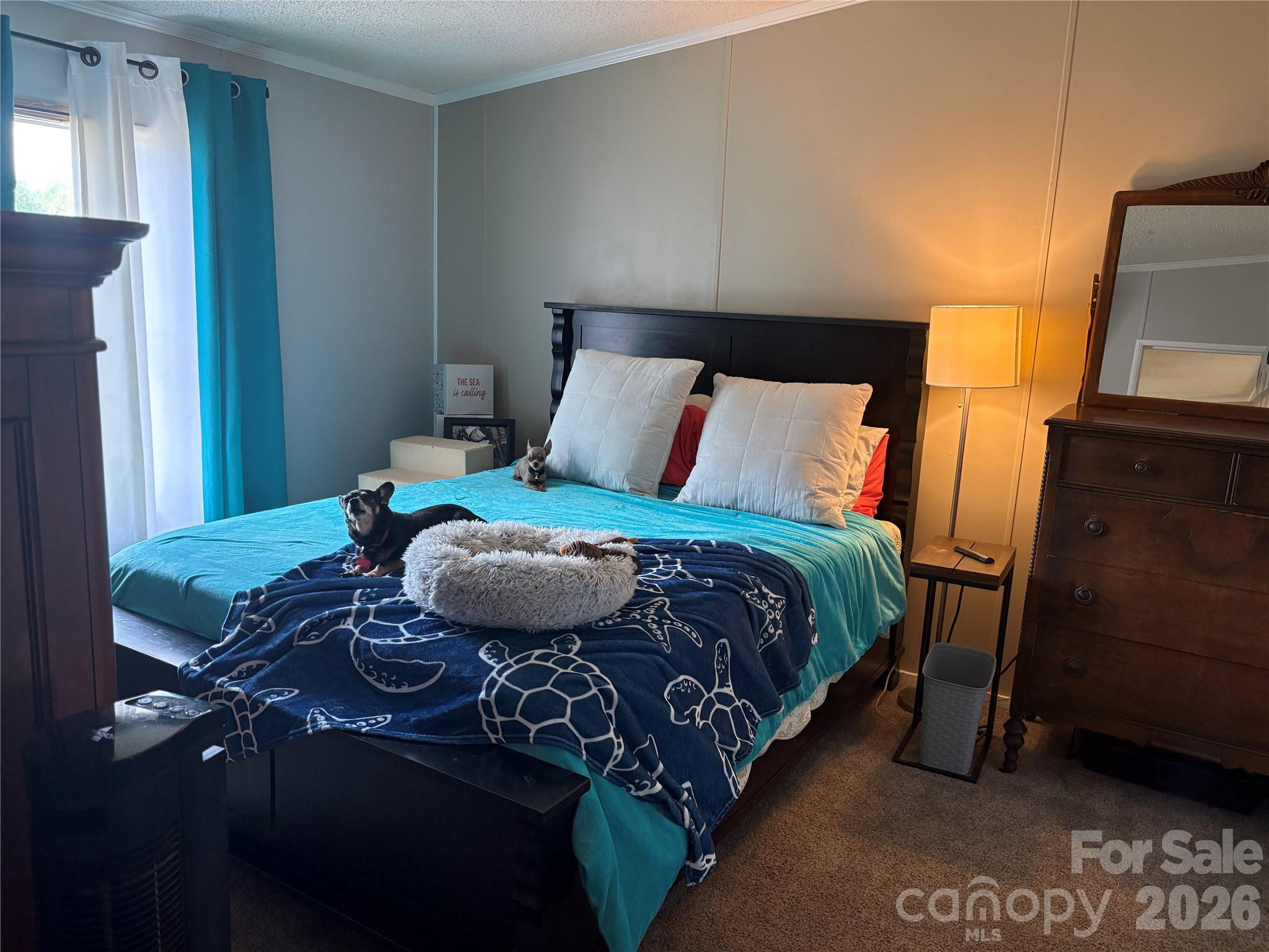 5507 Sandy Creek Court — Newton