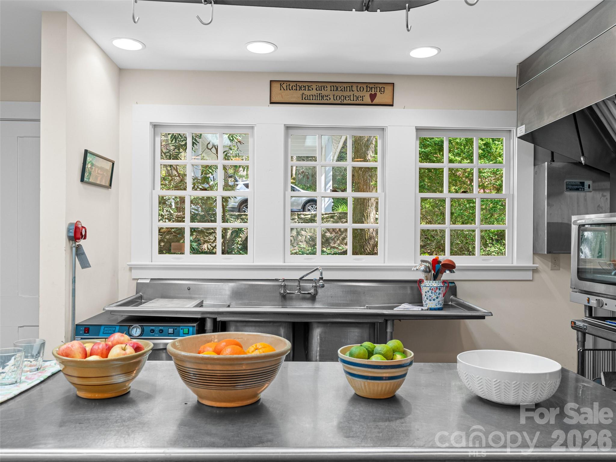 300 Ivy Terrace Drive — Saluda