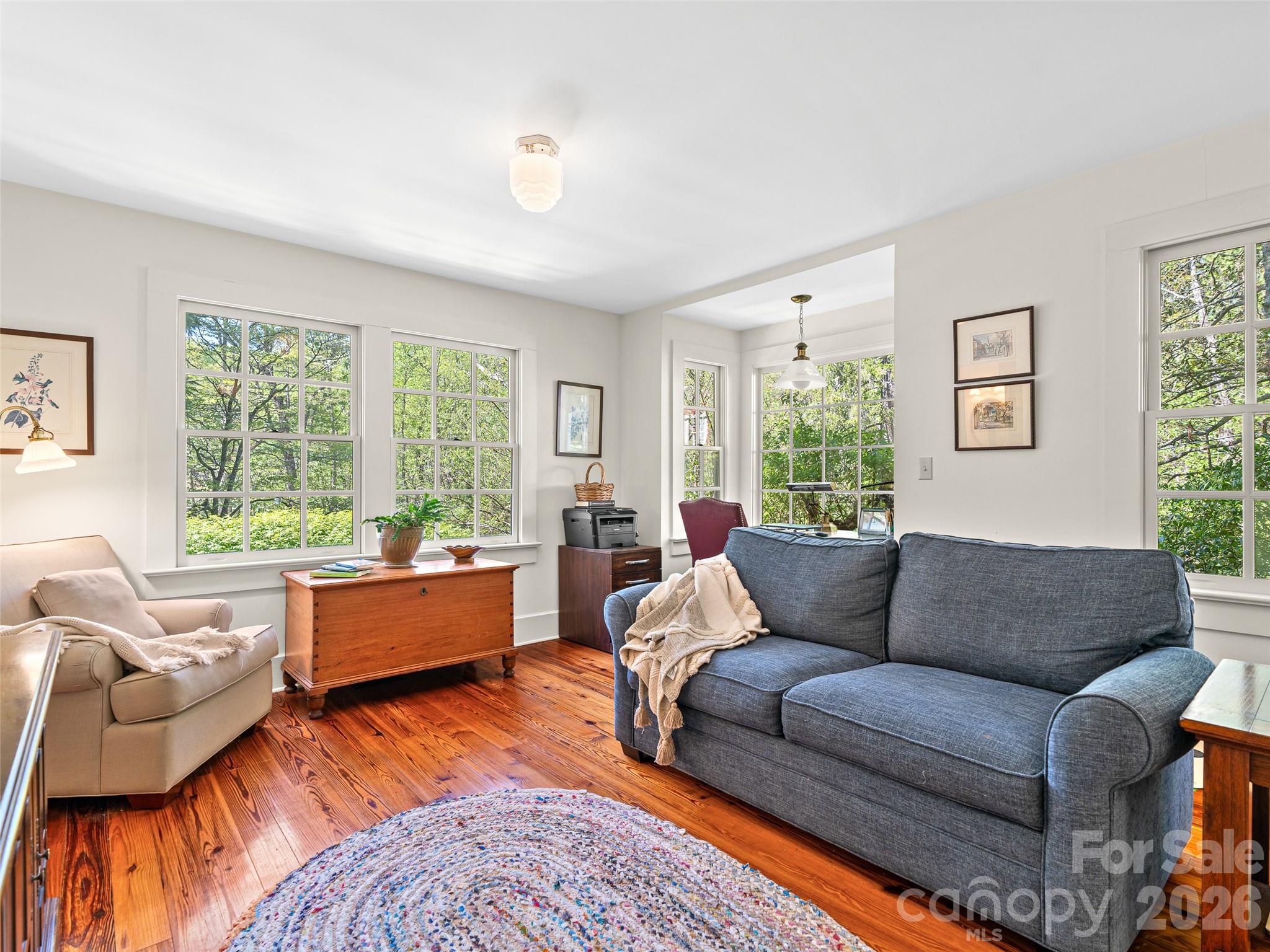 300 Ivy Terrace Drive — Saluda