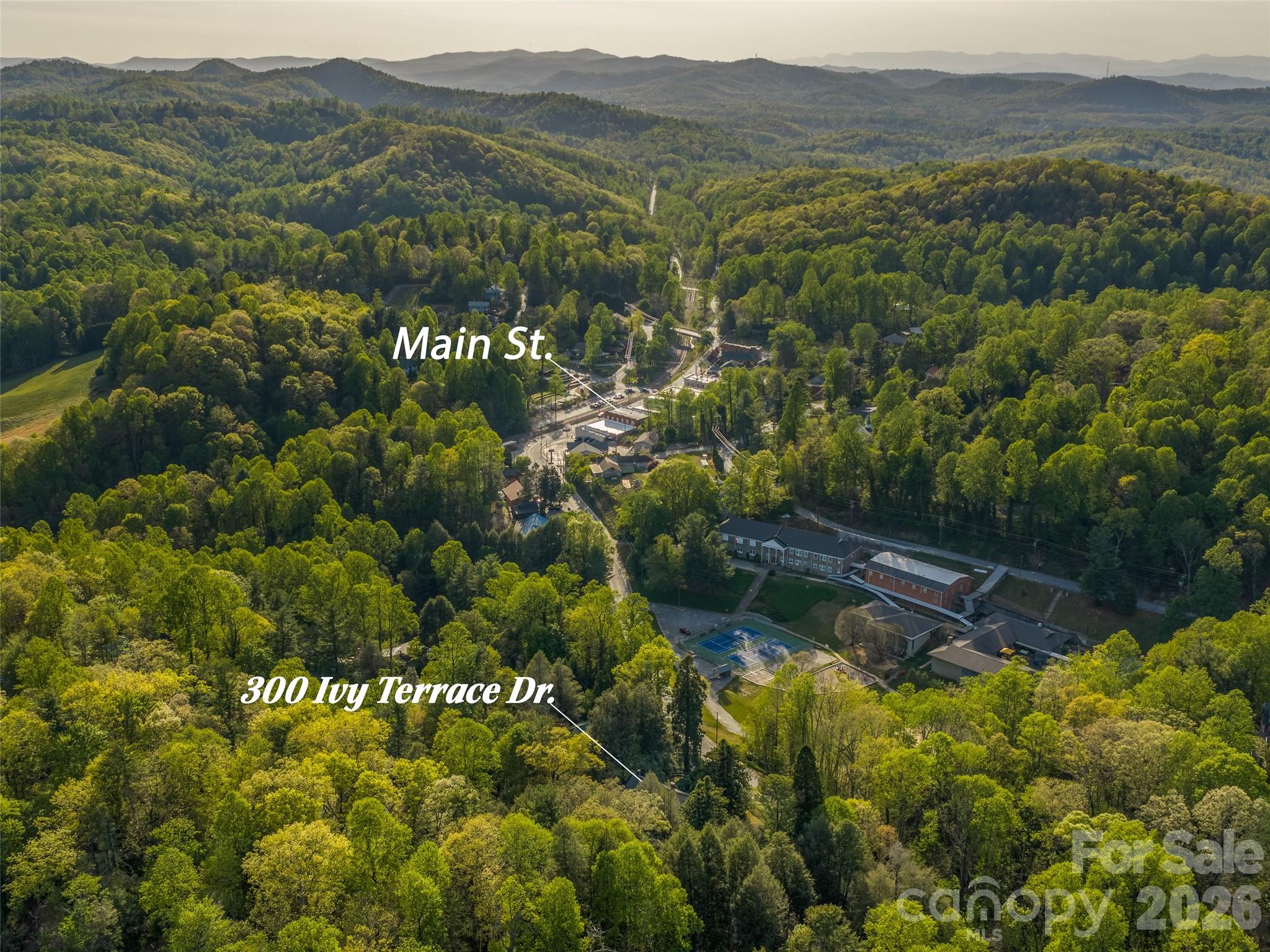 300 Ivy Terrace Drive — Saluda