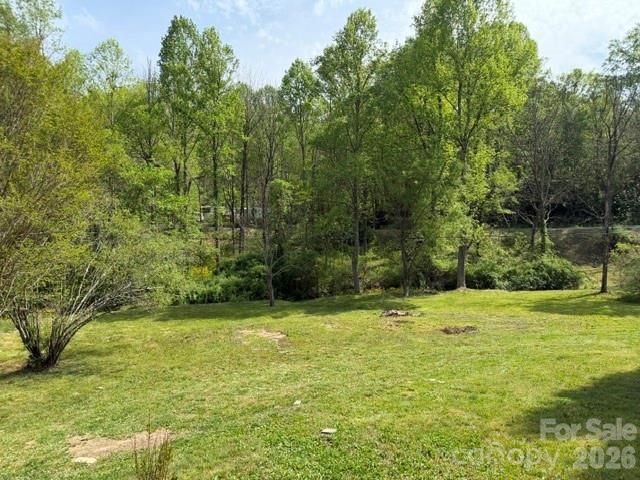 19 Streamview Lane — Arden