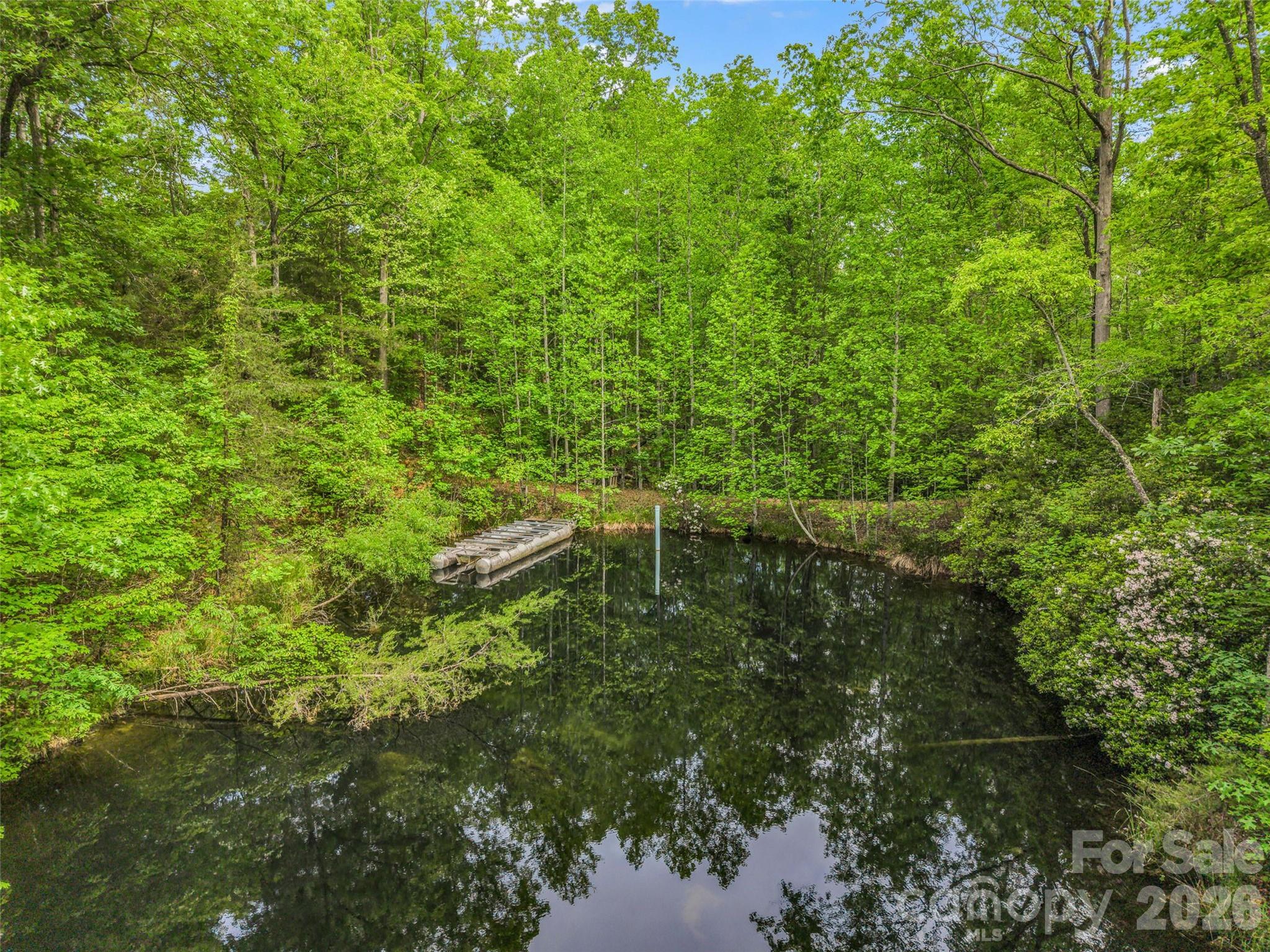 174 Rock Ridge — Lake Lure