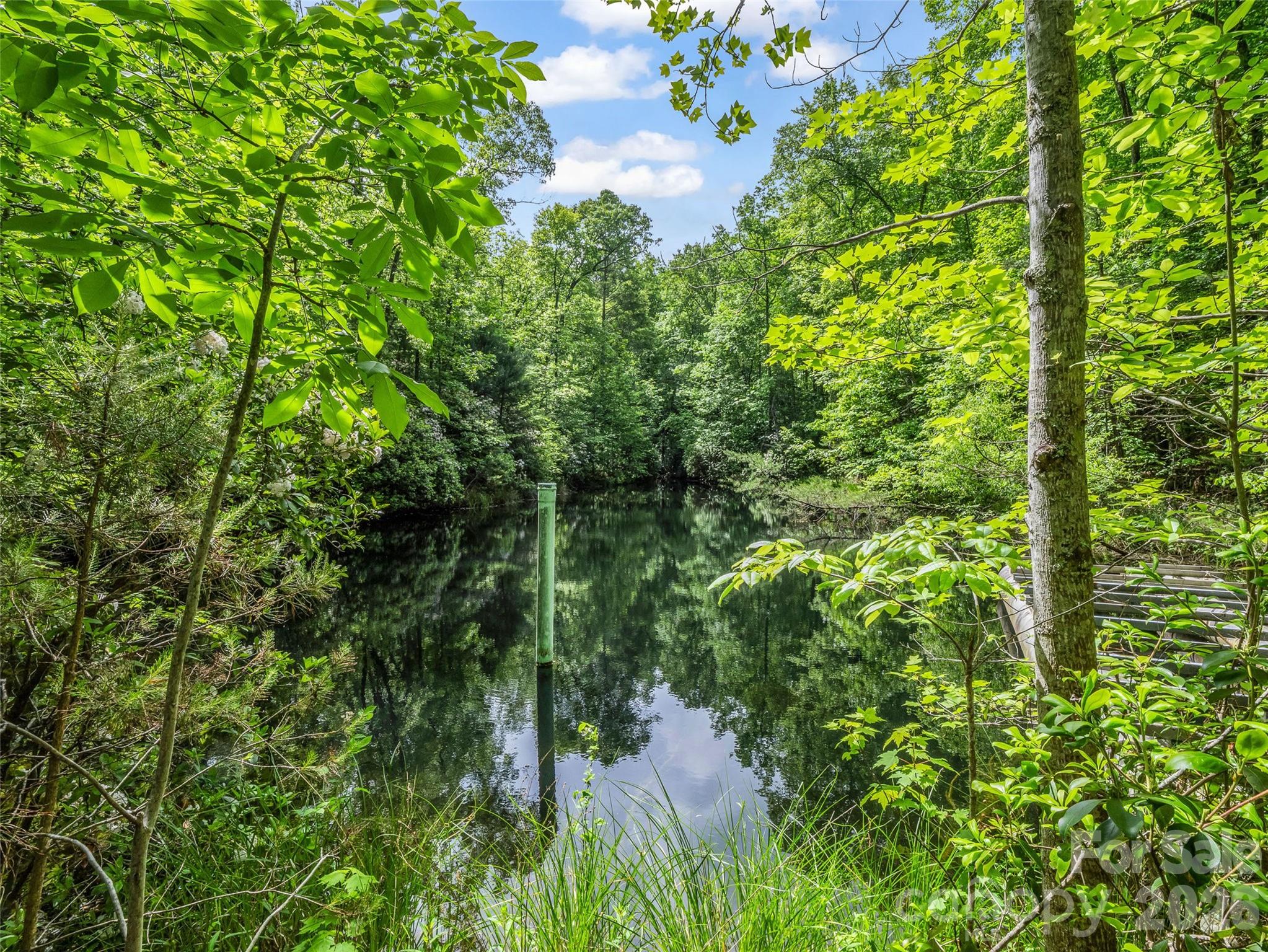 174 Rock Ridge — Lake Lure