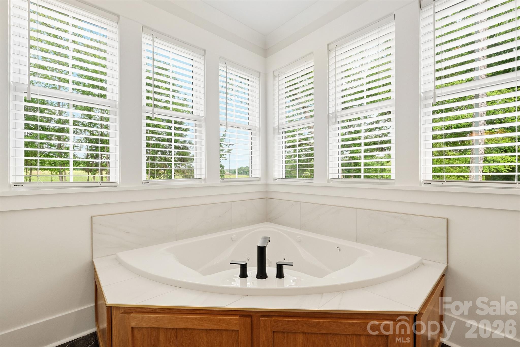 2855 Long Run Farm Road — Mount Pleasant