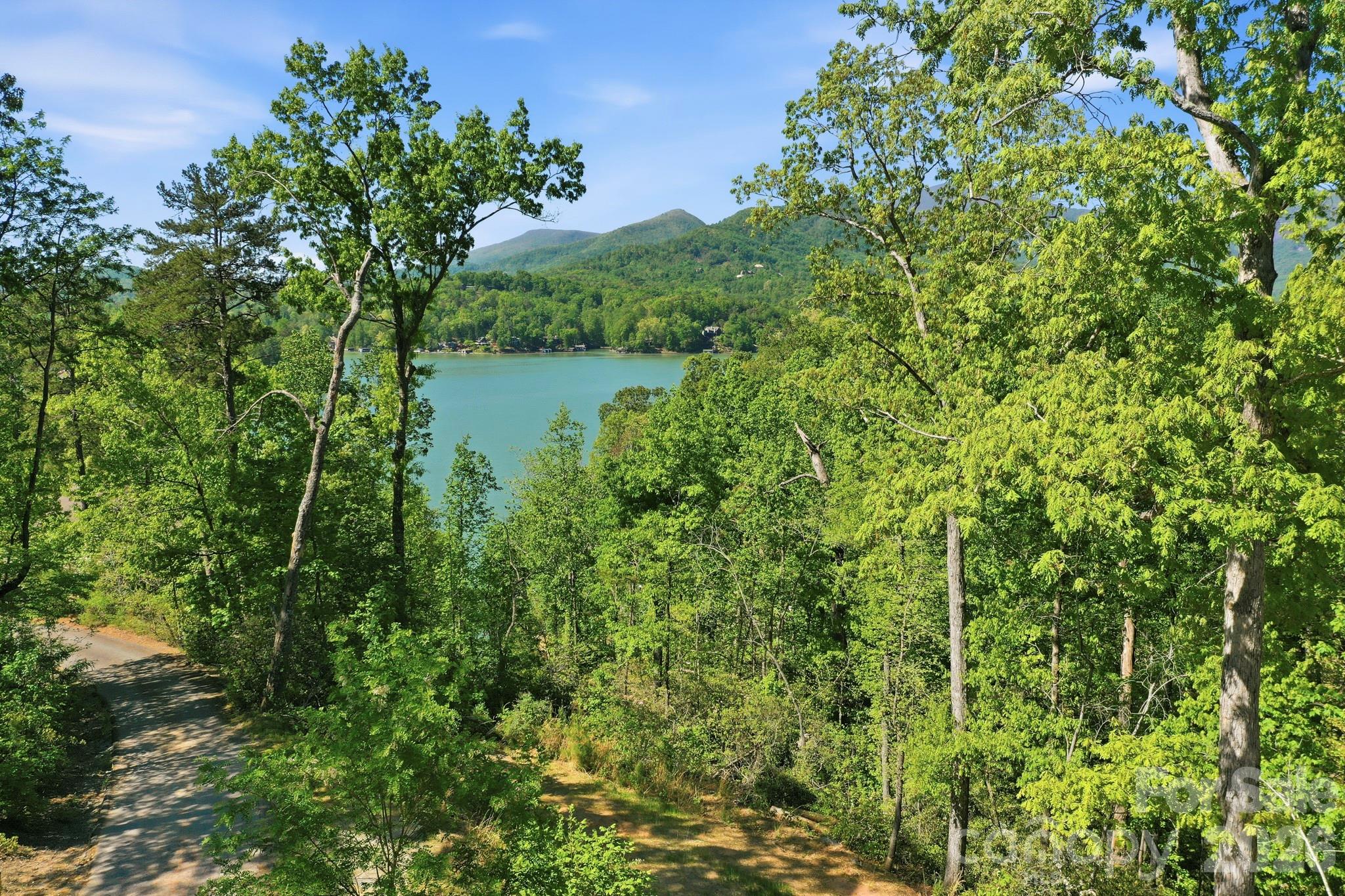 131 Pier Point Drive — Lake Lure
